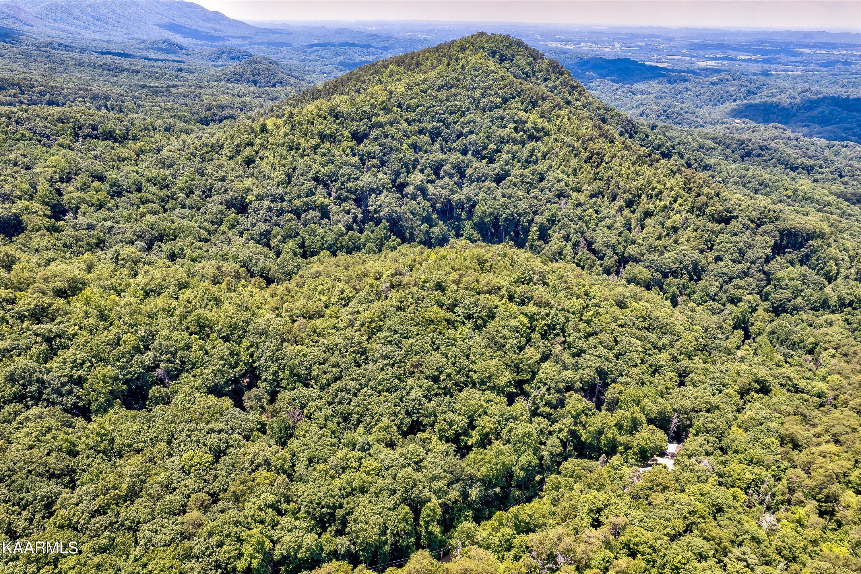 Reagan Springs Road Seymour TN 37865