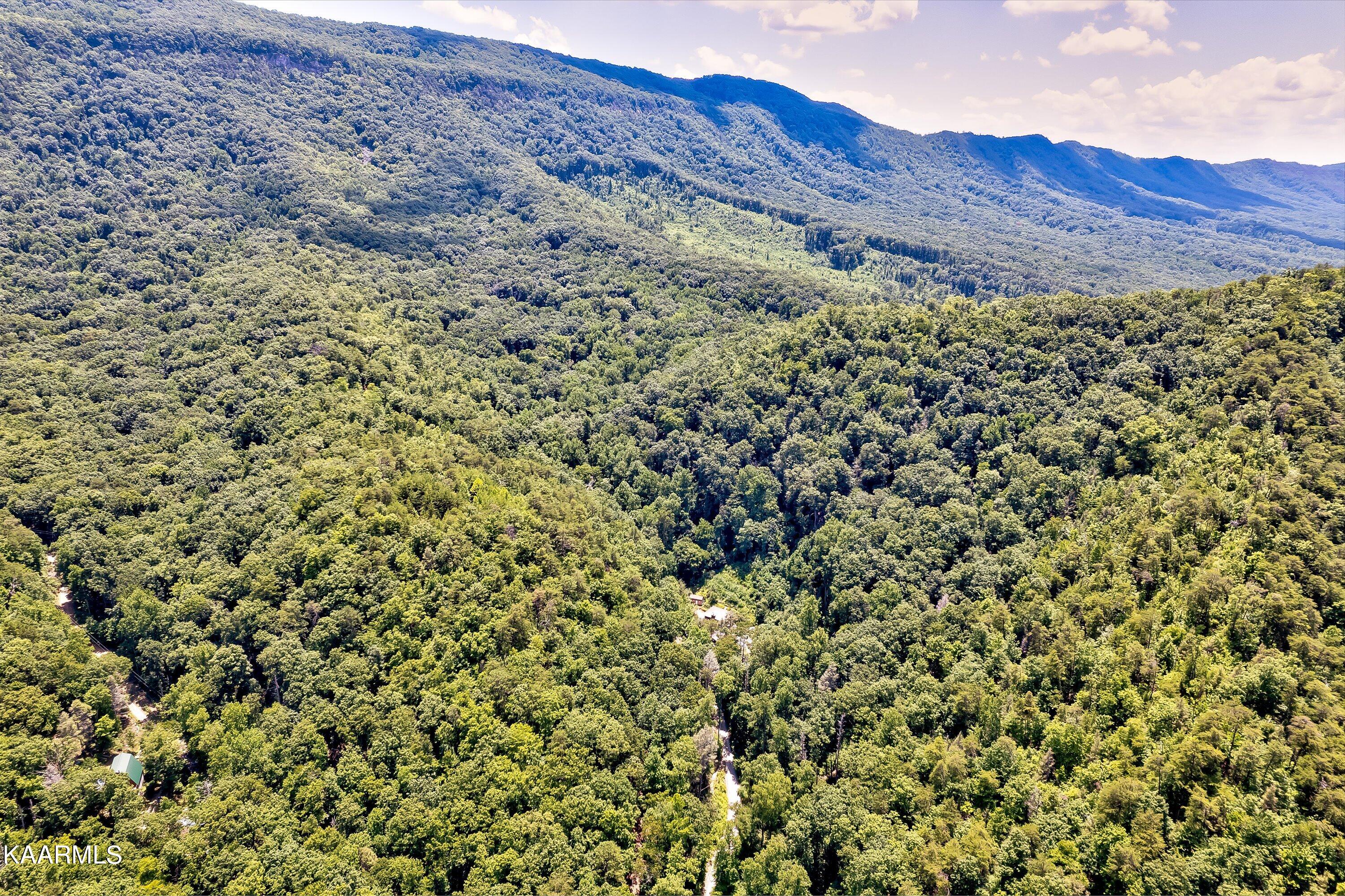Reagan Springs Road Seymour TN 37865