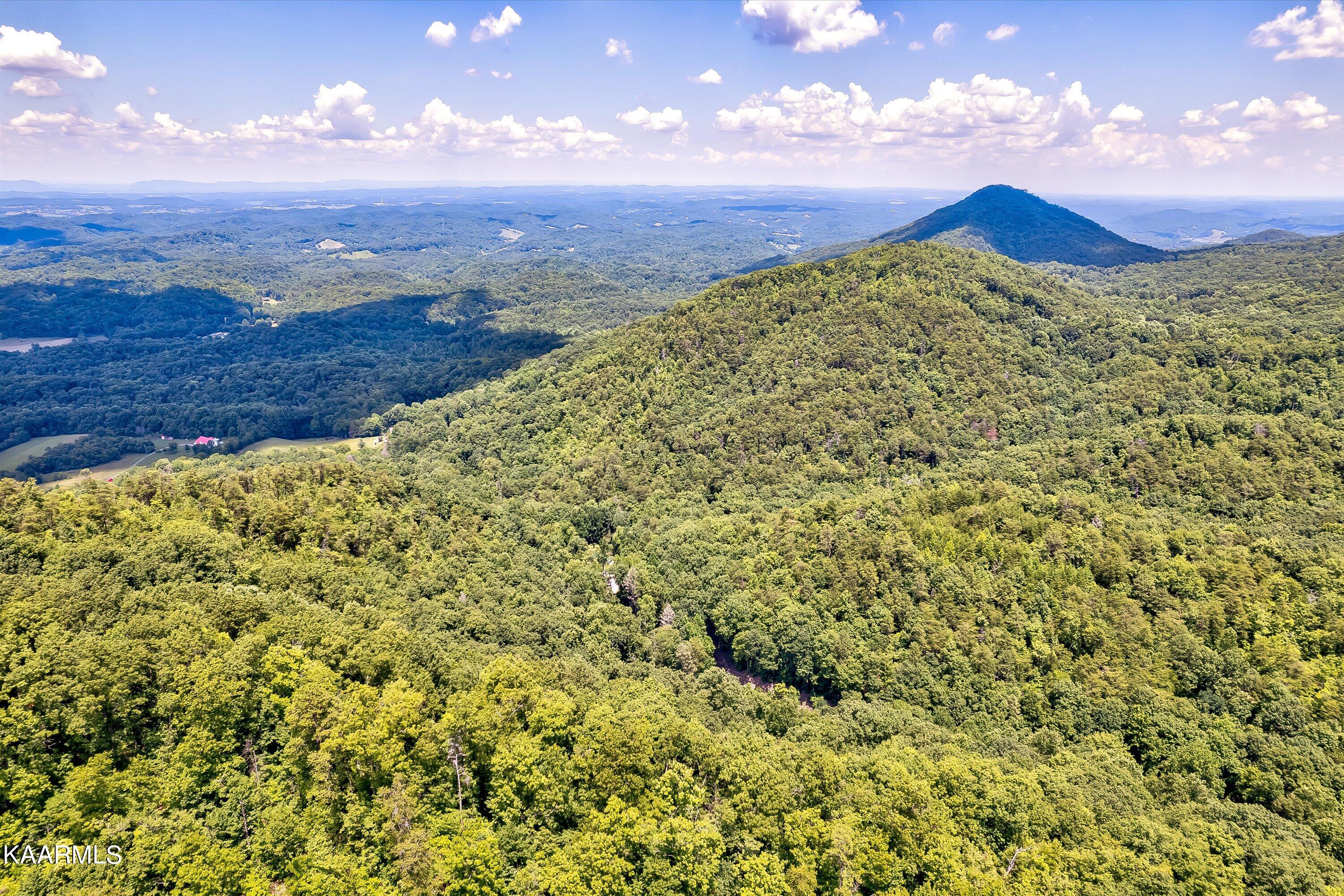 Reagan Springs Road Seymour TN 37865