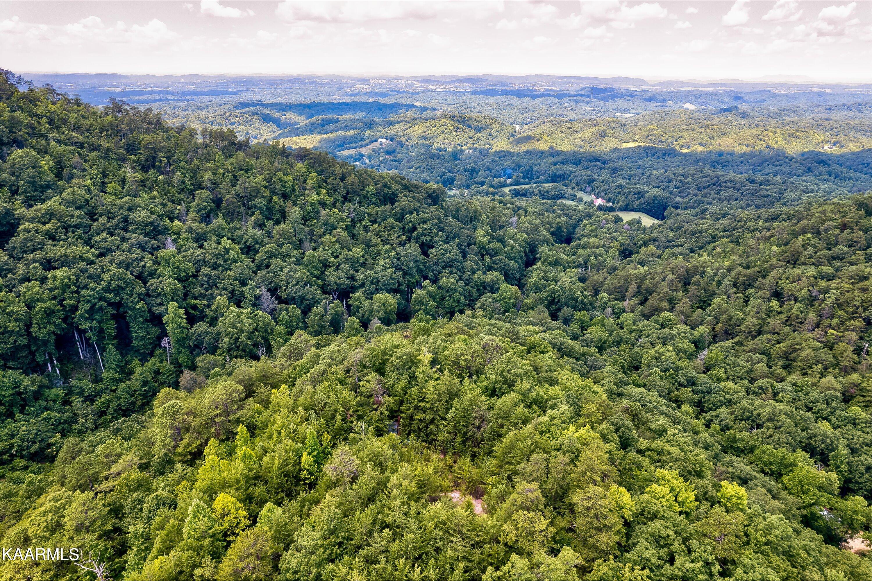 Reagan Springs Road Seymour TN 37865