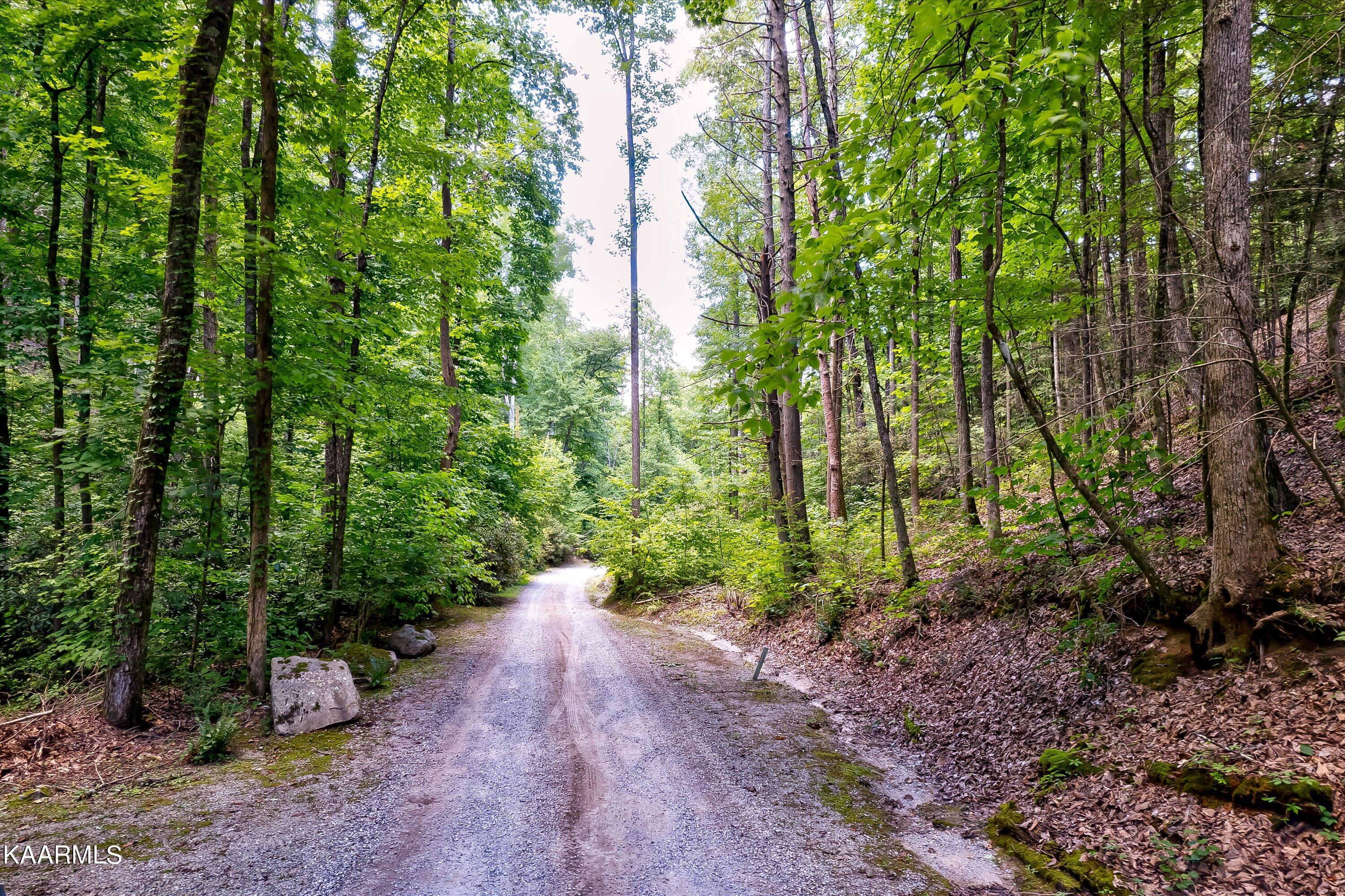 Reagan Springs Road Seymour TN 37865