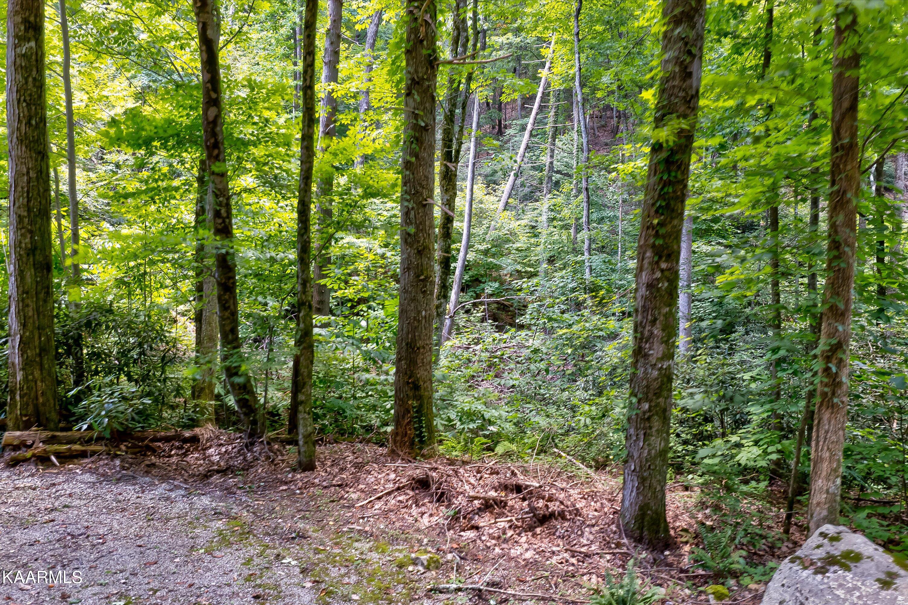 Reagan Springs Road Seymour TN 37865