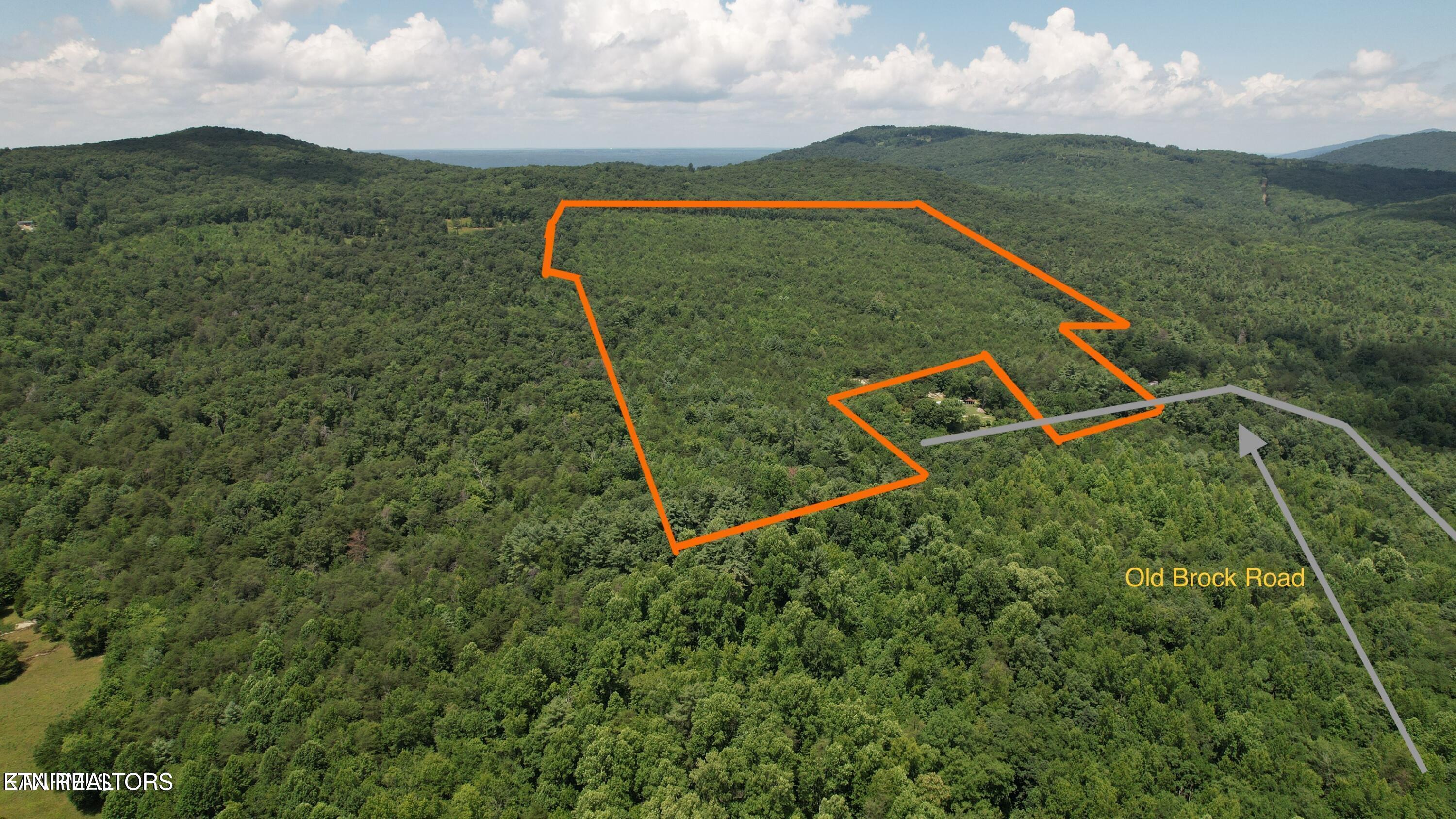 Shady Oaks Drive Spring City TN 37381