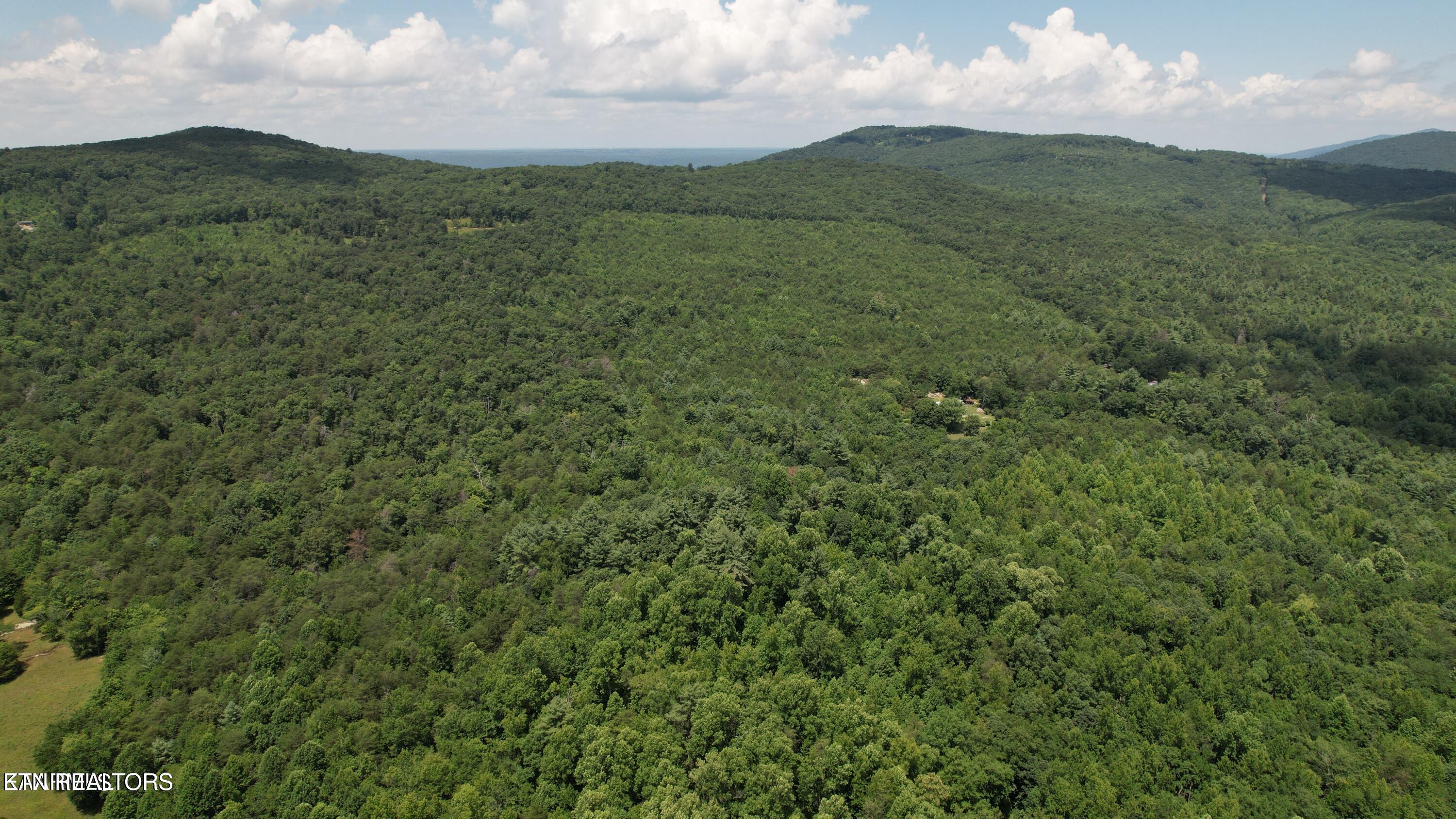 Shady Oaks Drive Spring City TN 37381