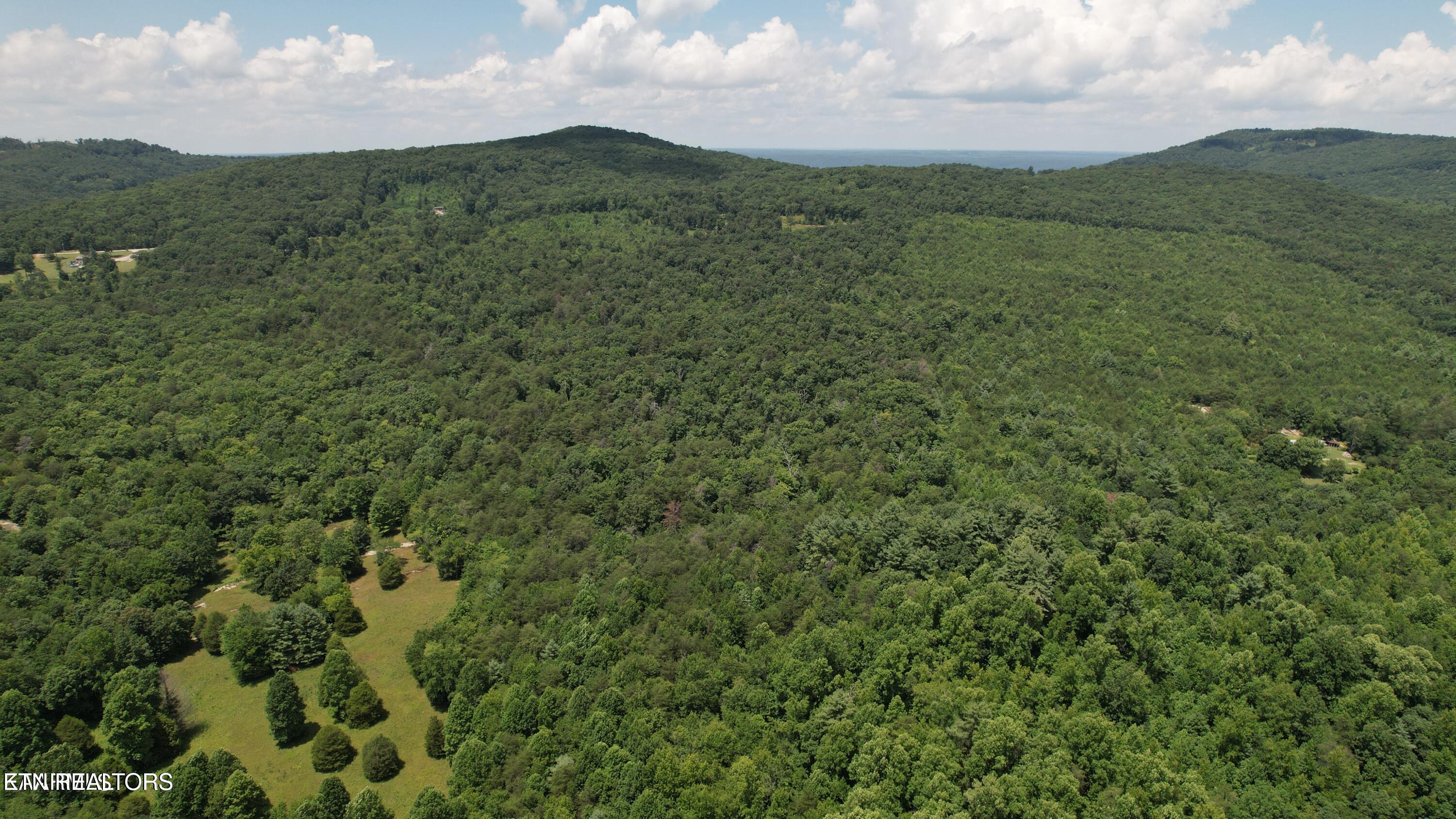 Shady Oaks Drive Spring City TN 37381