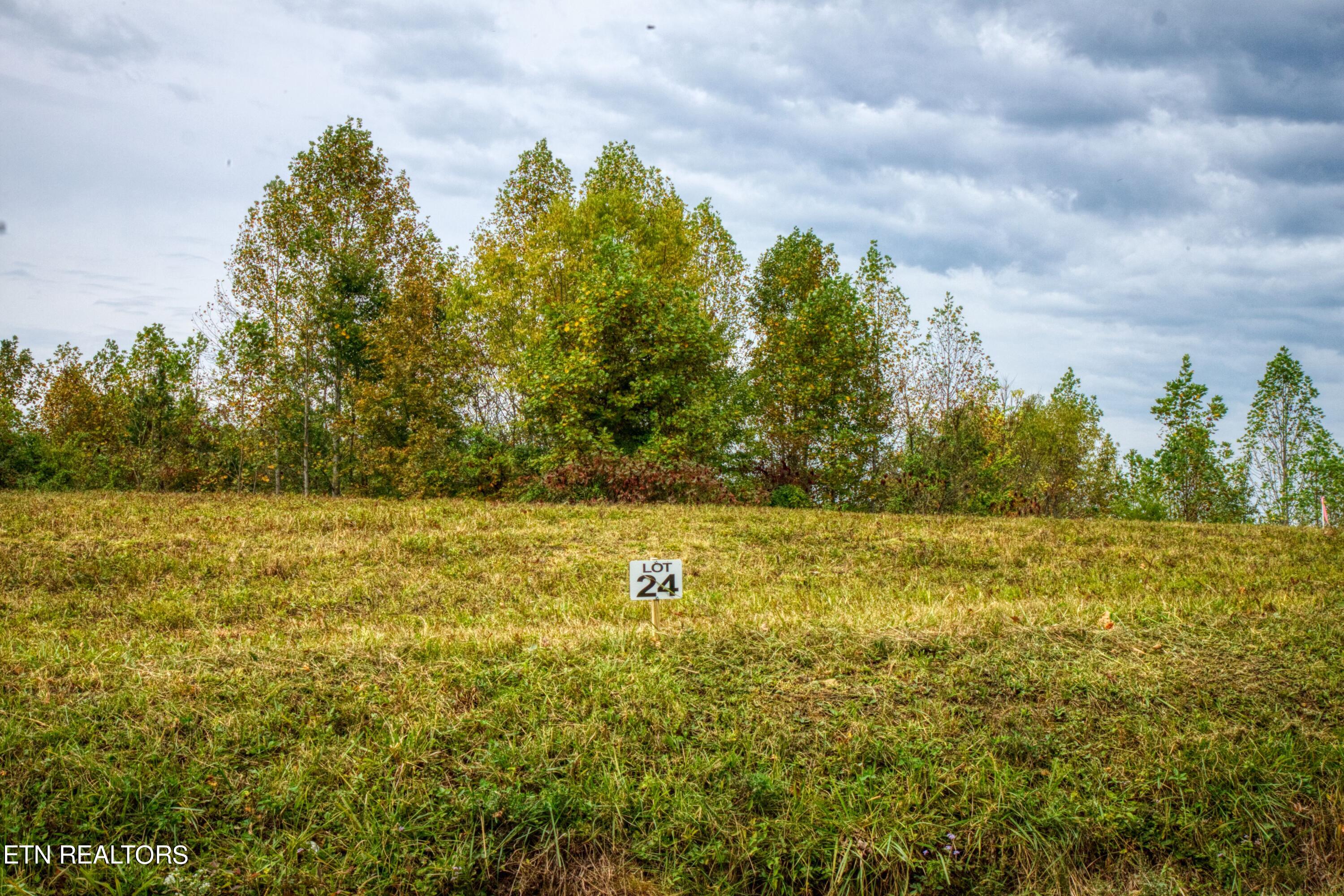 Lot 24 Old Mount Helen Road Allardt TN 38504