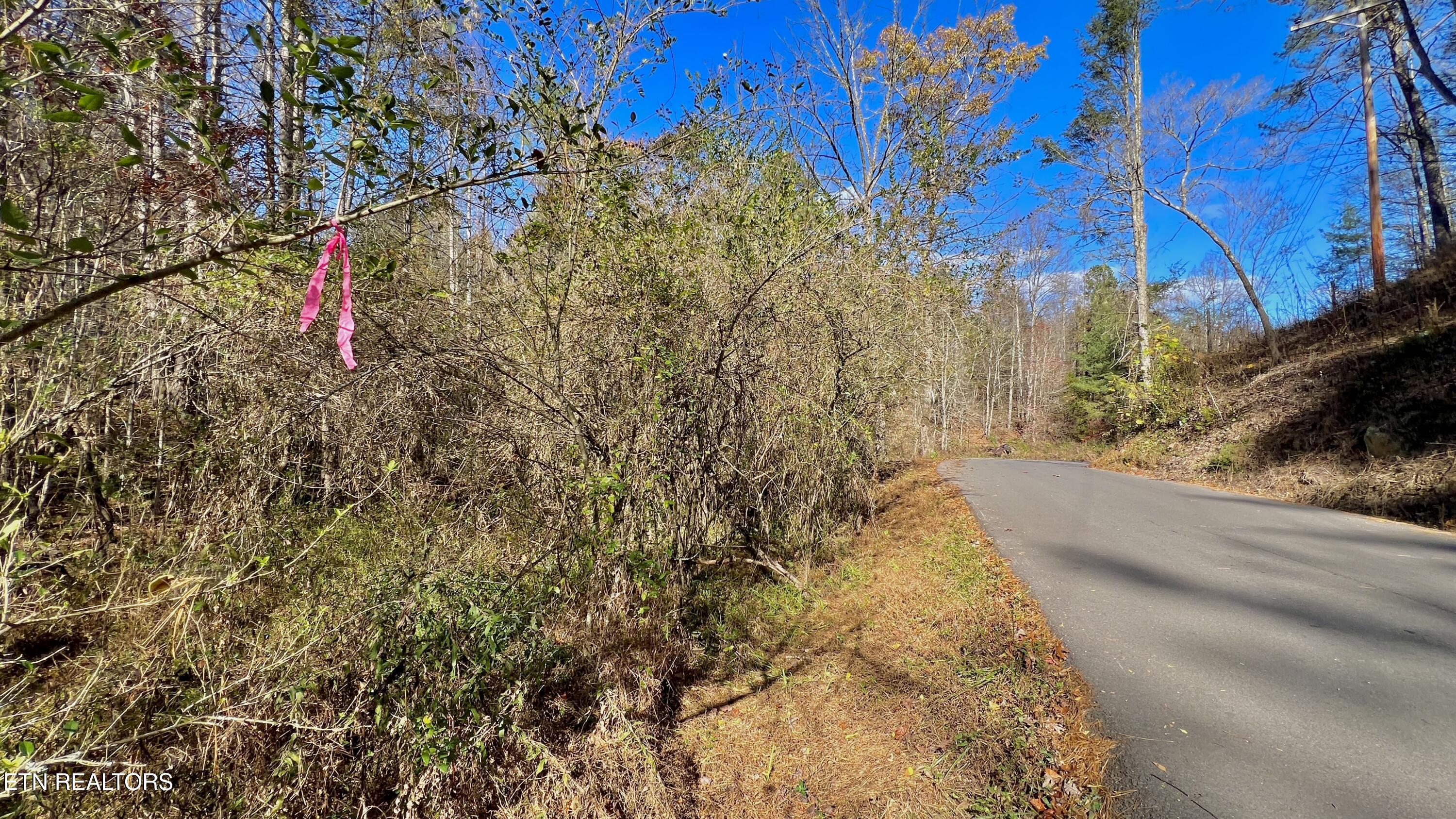 8 Lots Grassy Branch Loop Sevierville TN 37876