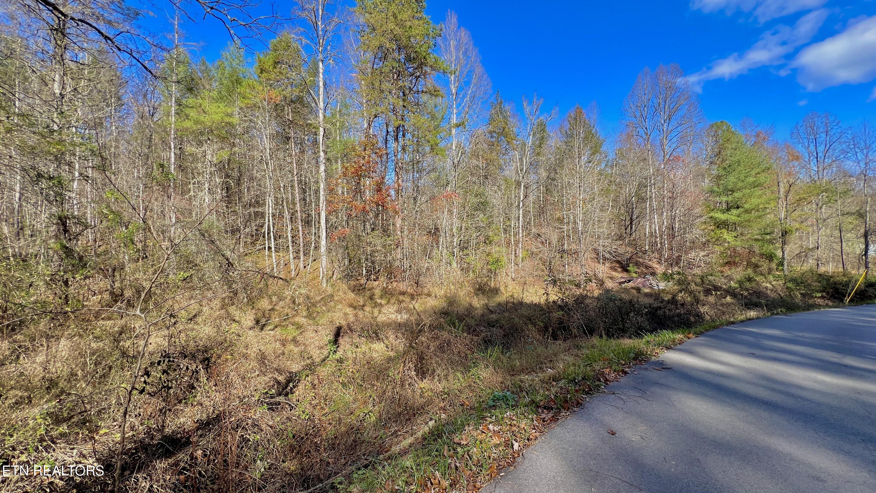 8 Lots Grassy Branch Loop Sevierville TN 37876