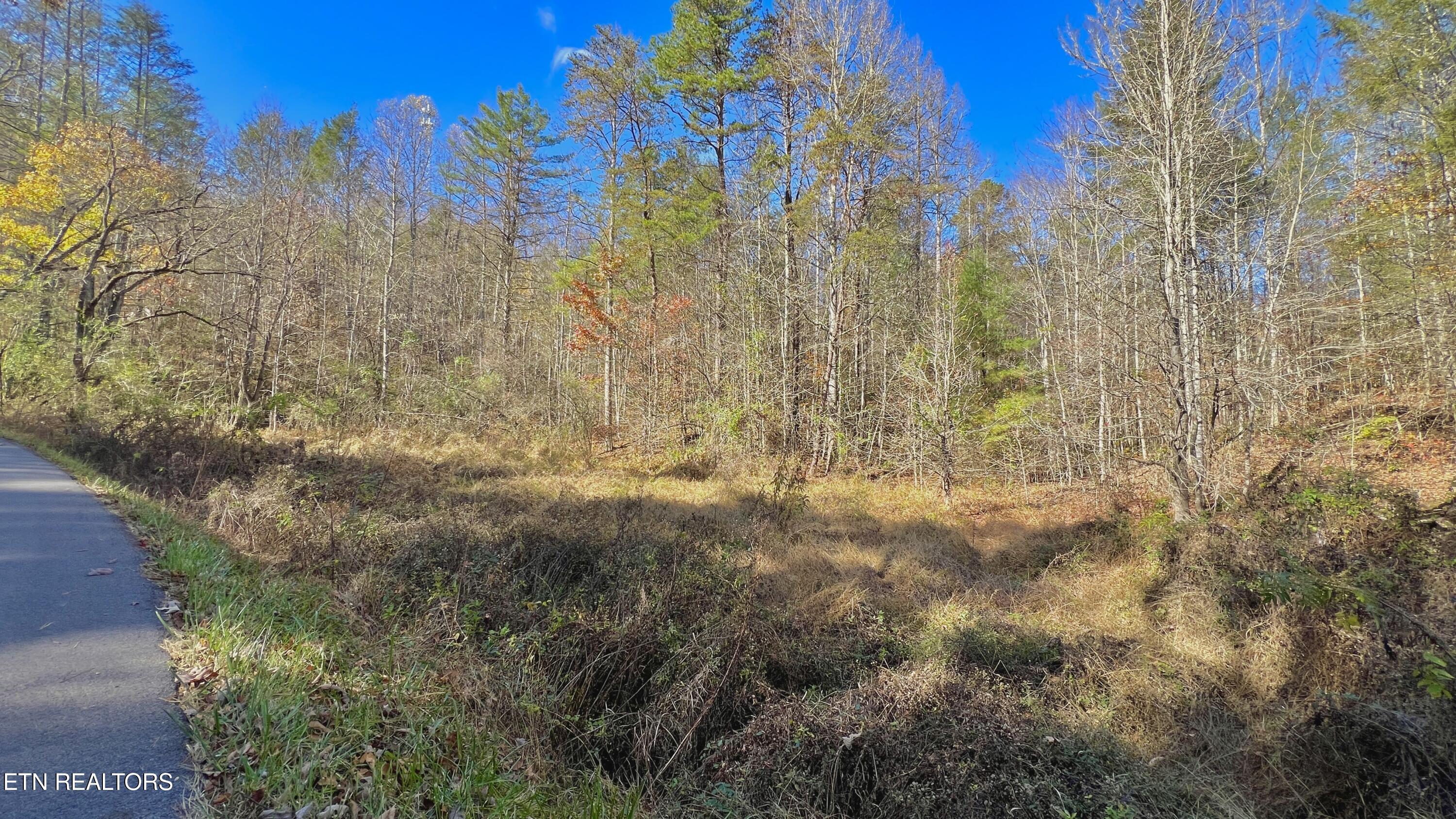 8 Lots Grassy Branch Loop Sevierville TN 37876