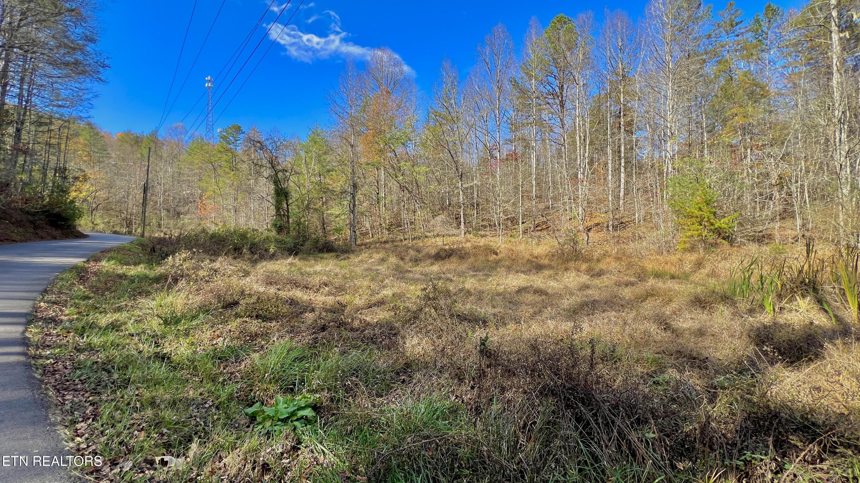8 Lots Grassy Branch Loop Sevierville TN 37876