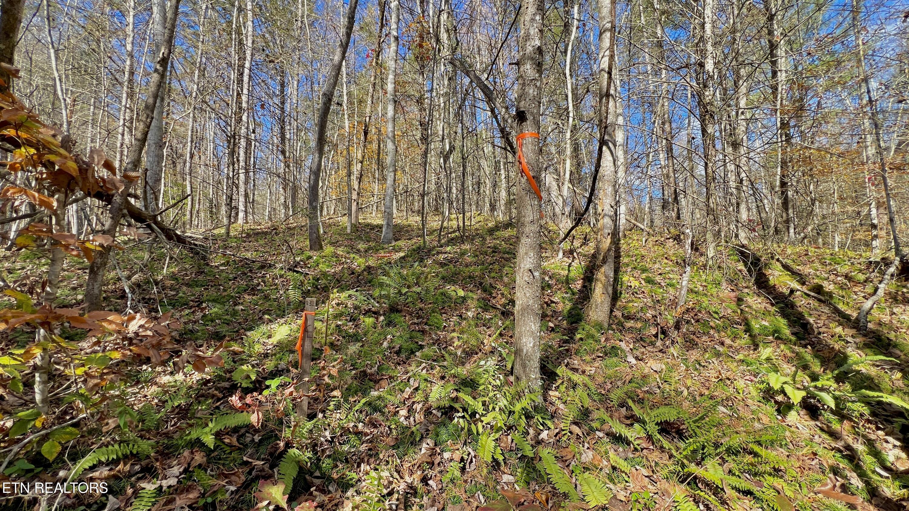 8 Lots Grassy Branch Loop Sevierville TN 37876