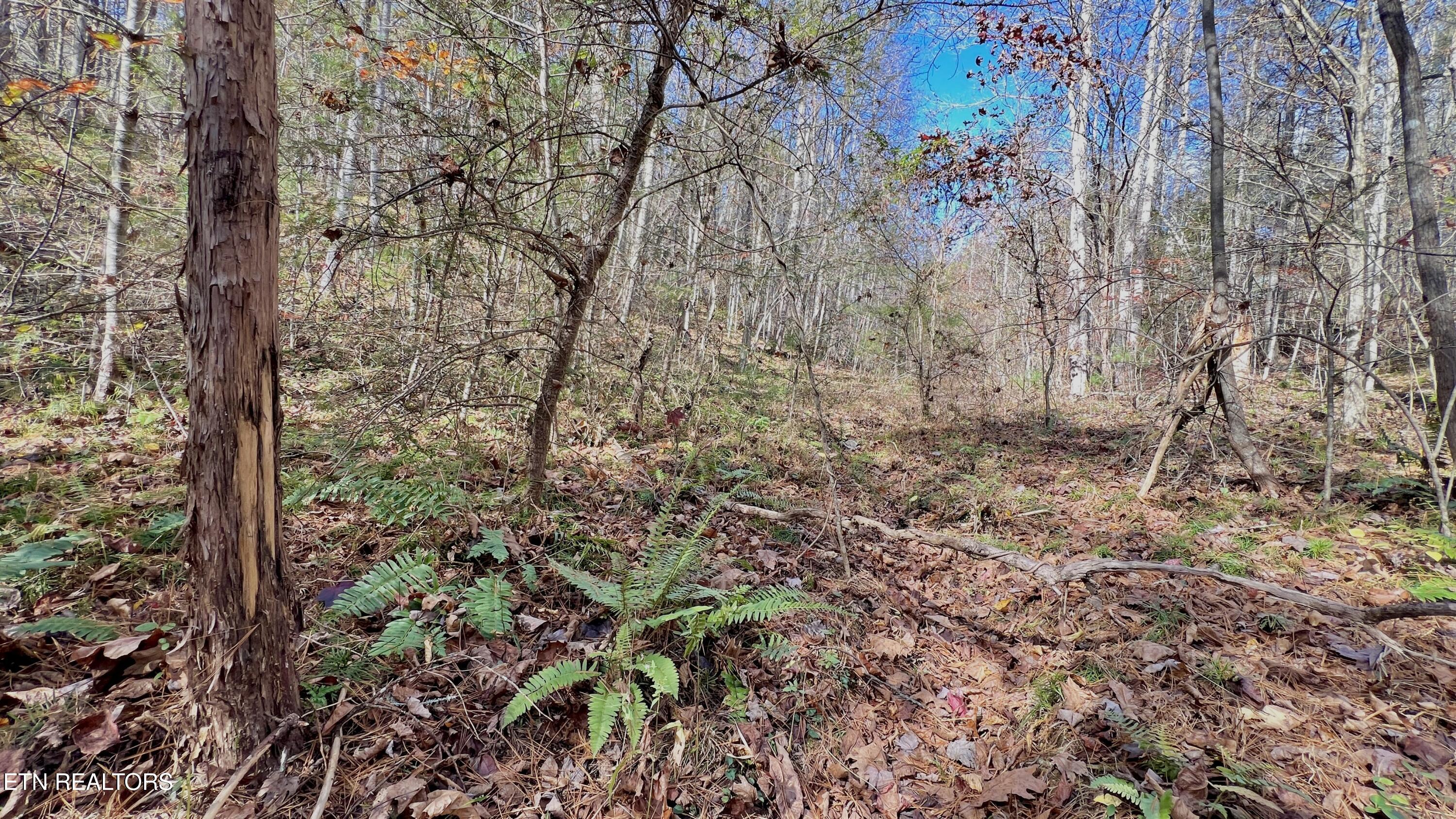 8 Lots Grassy Branch Loop Sevierville TN 37876