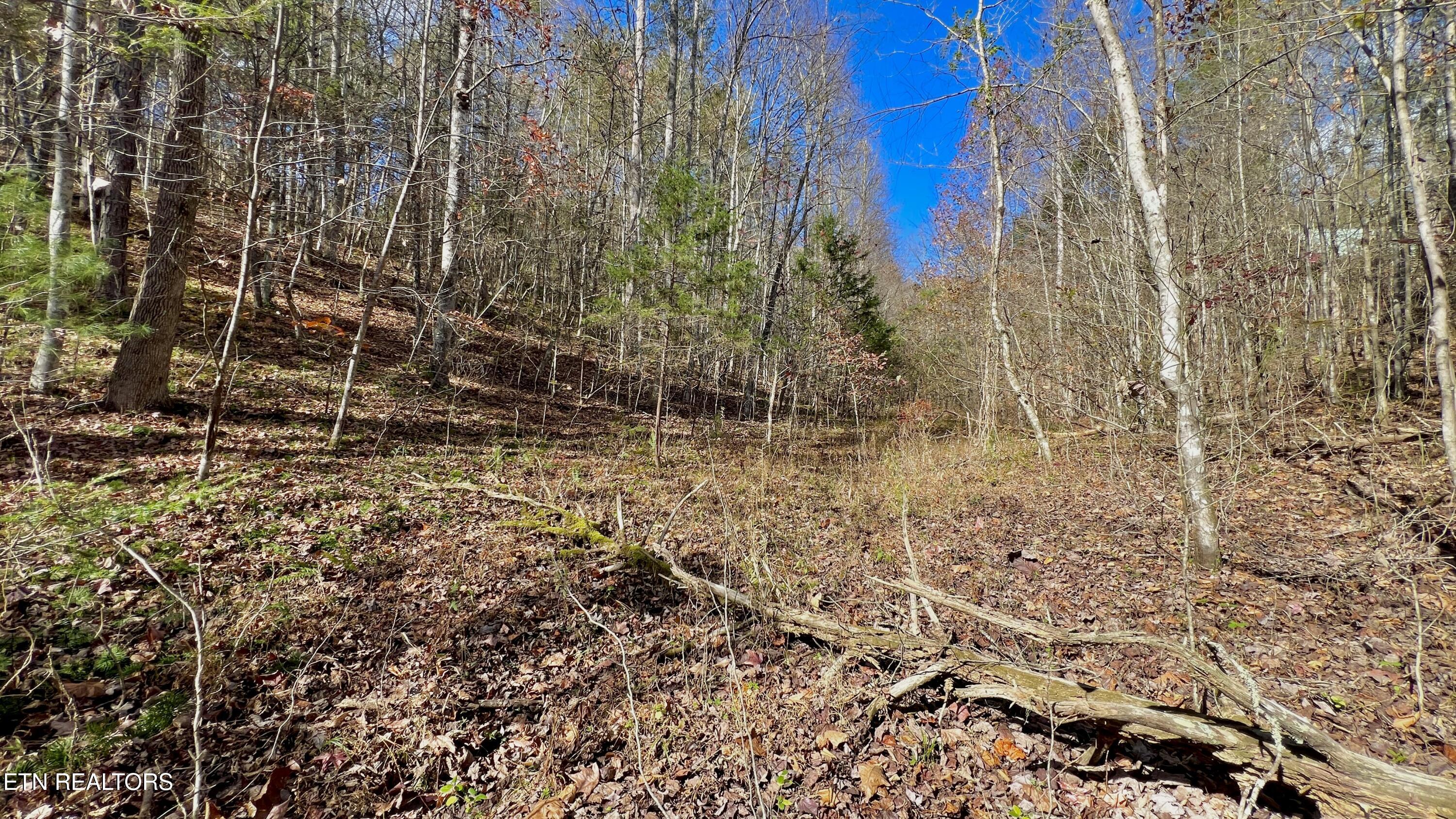 8 Lots Grassy Branch Loop Sevierville TN 37876