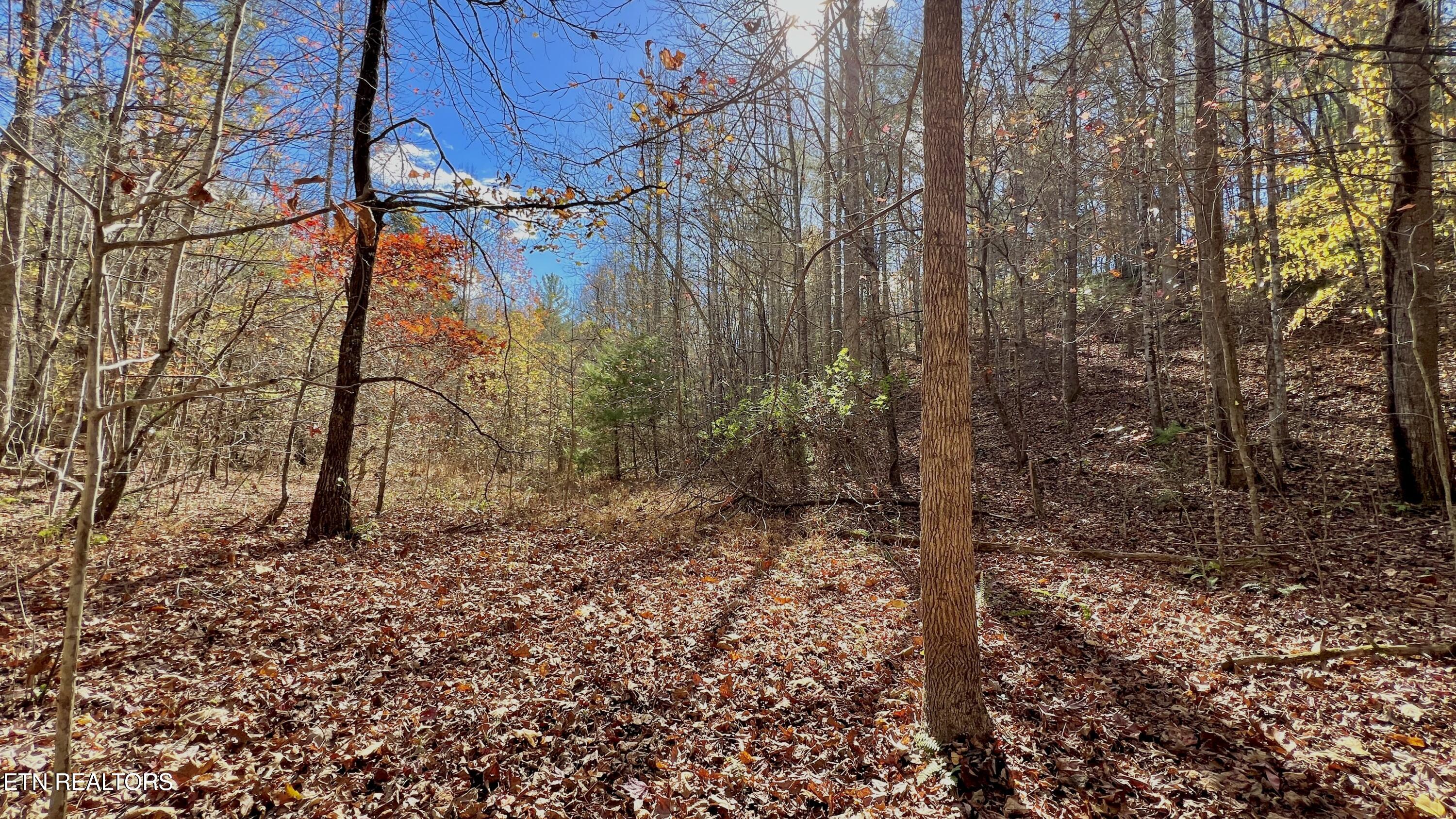 8 Lots Grassy Branch Loop Sevierville TN 37876