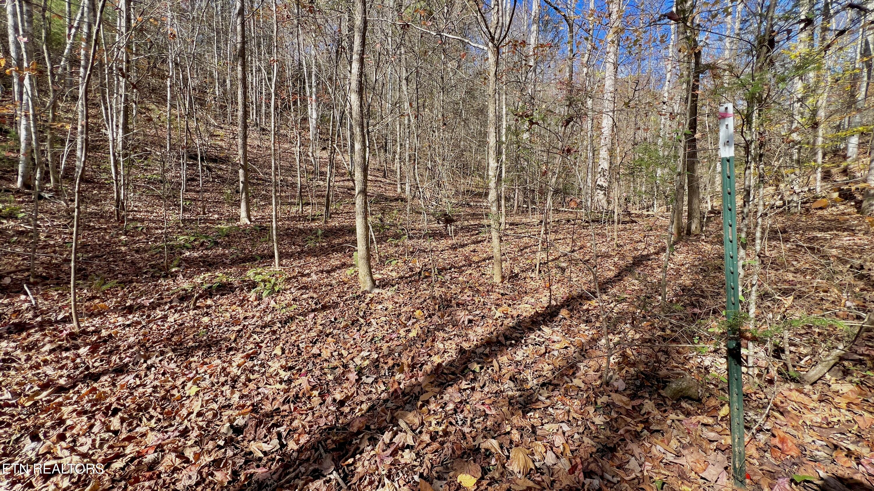 8 Lots Grassy Branch Loop Sevierville TN 37876