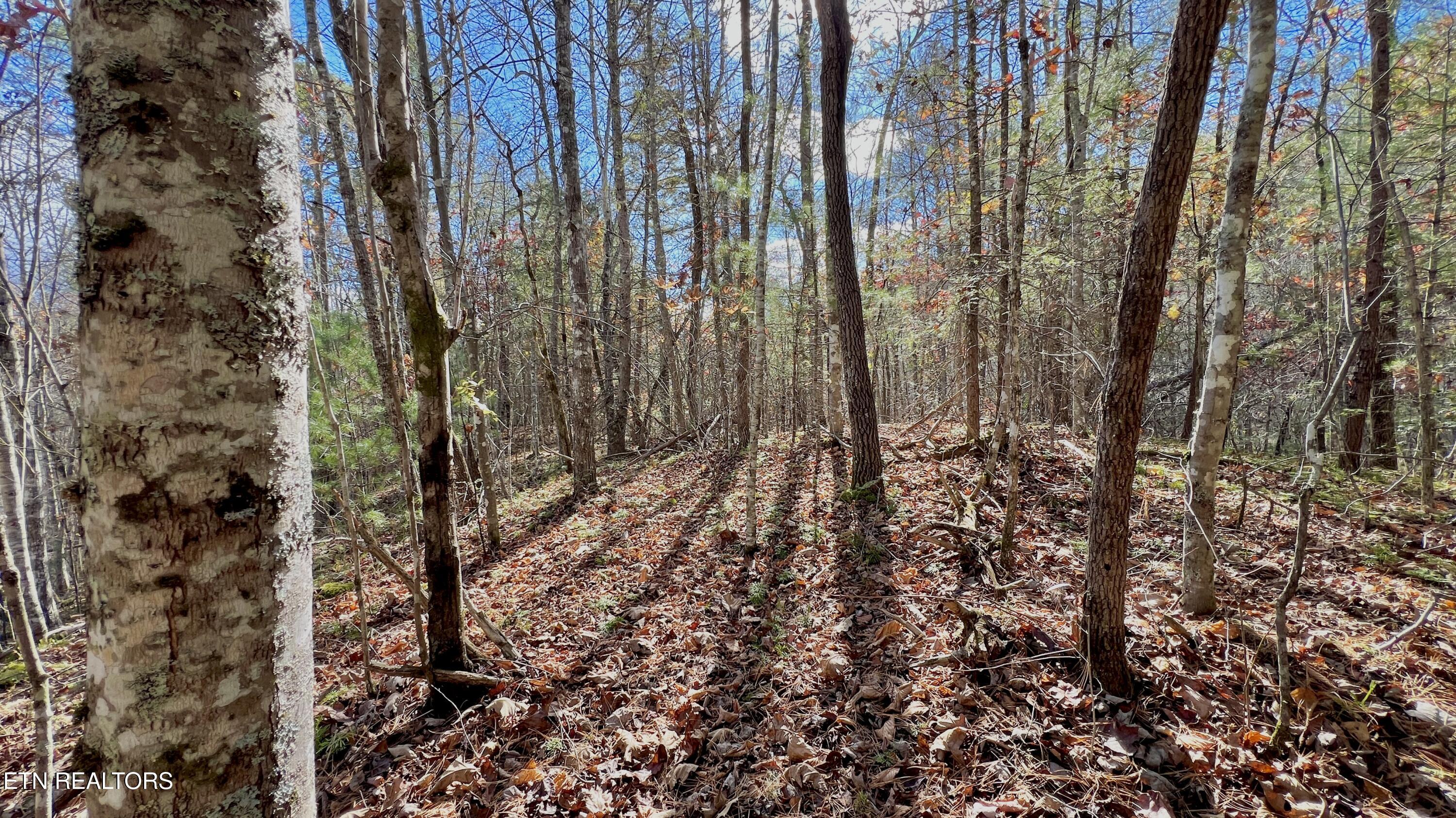 8 Lots Grassy Branch Loop Sevierville TN 37876