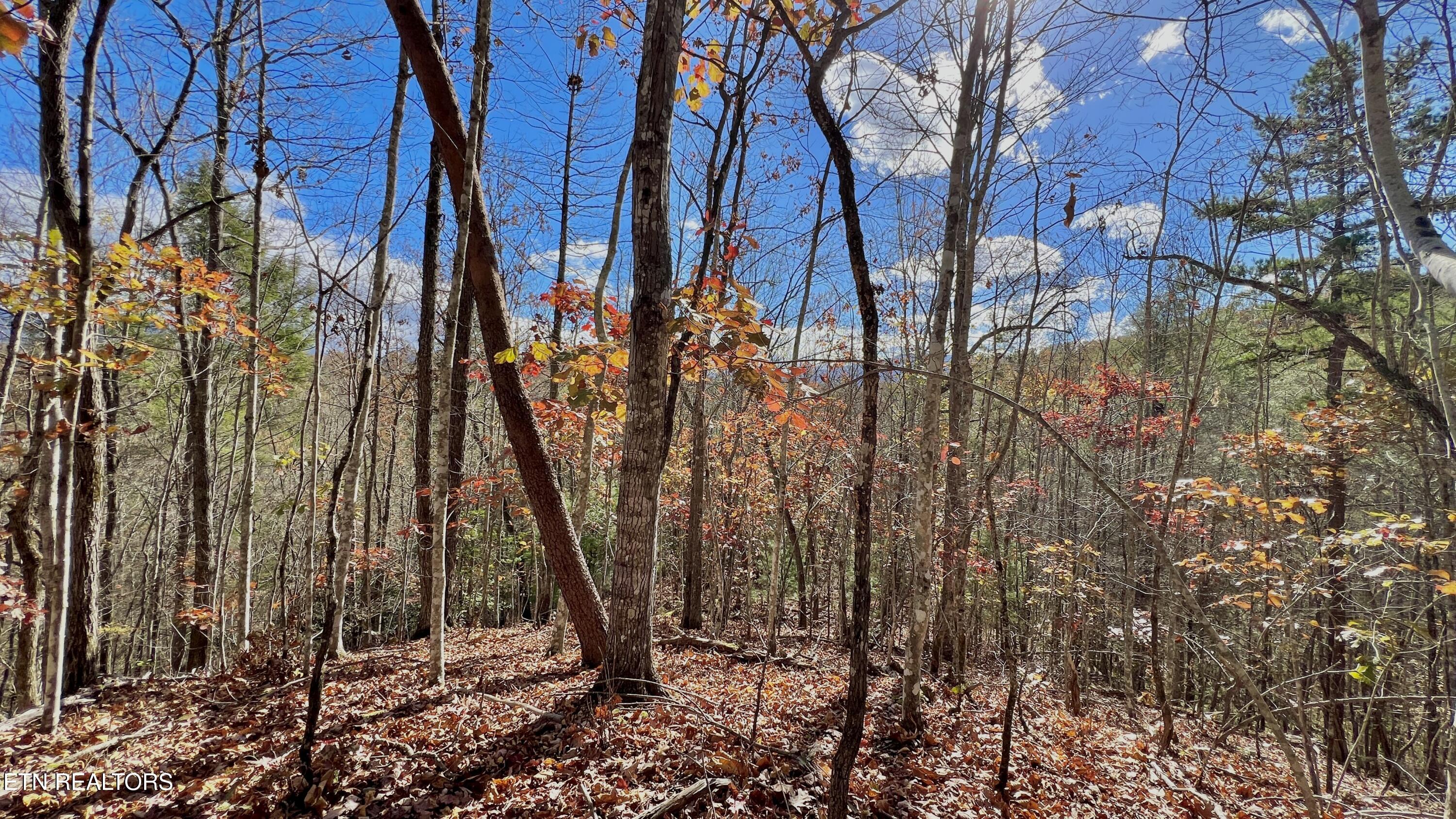 8 Lots Grassy Branch Loop Sevierville TN 37876