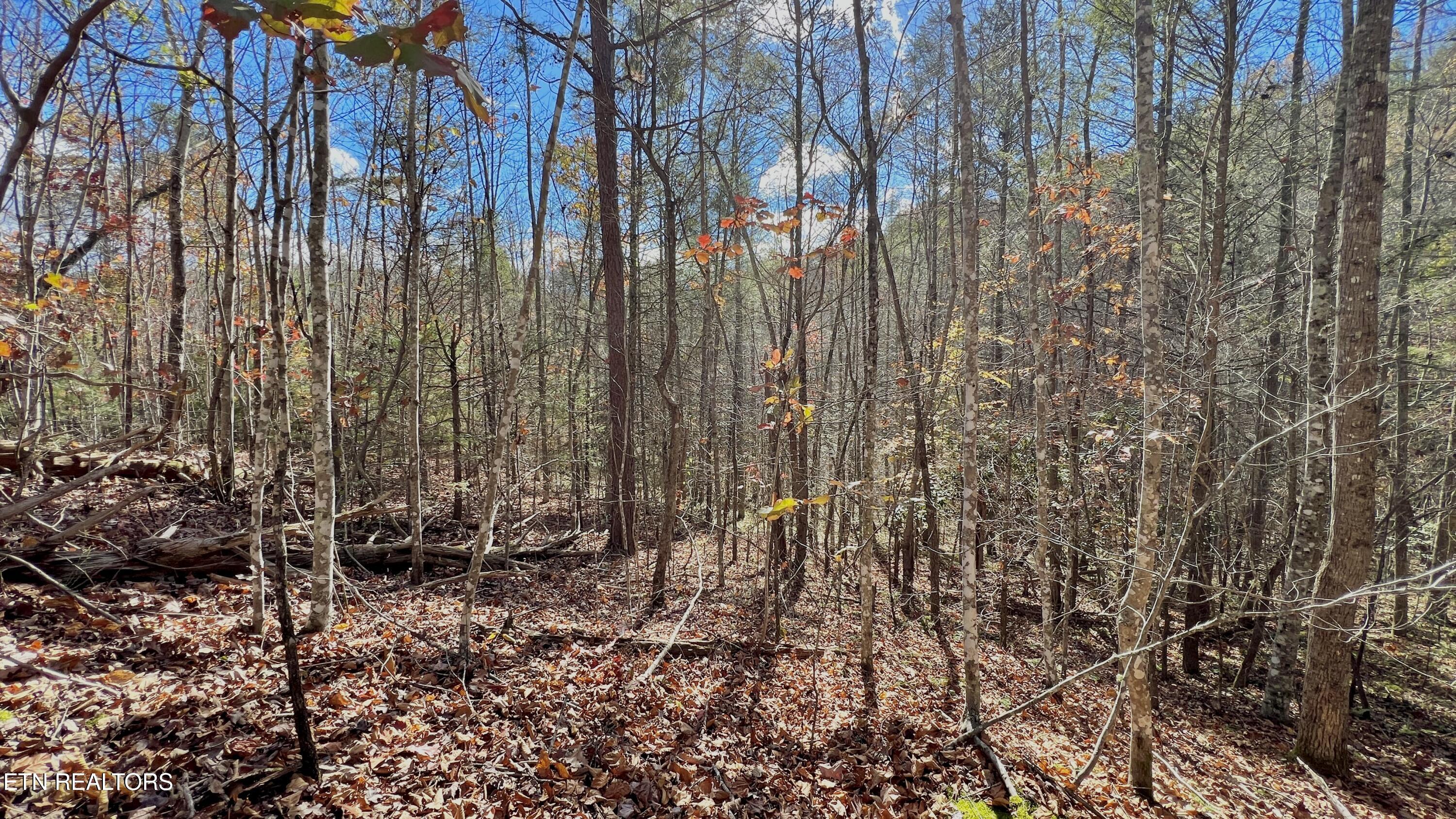 8 Lots Grassy Branch Loop Sevierville TN 37876