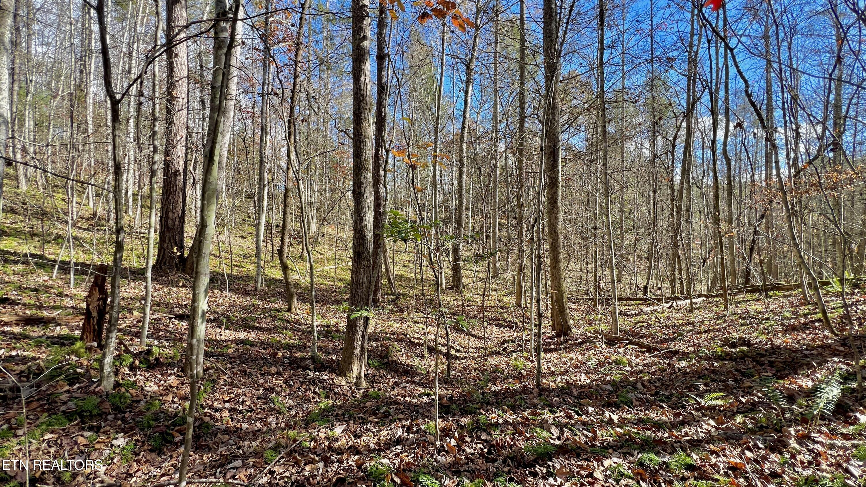 8 Lots Grassy Branch Loop Sevierville TN 37876