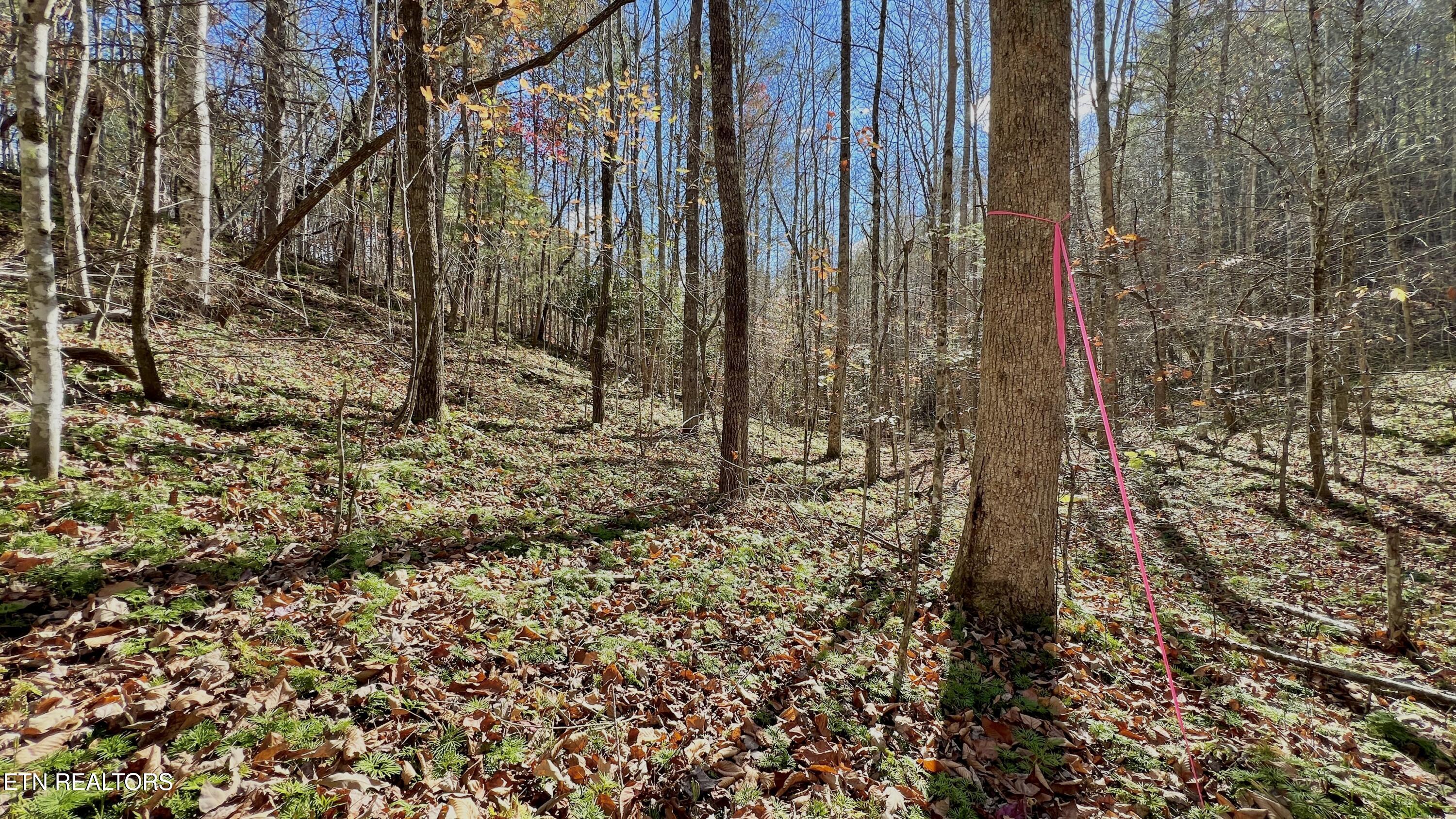 8 Lots Grassy Branch Loop Sevierville TN 37876