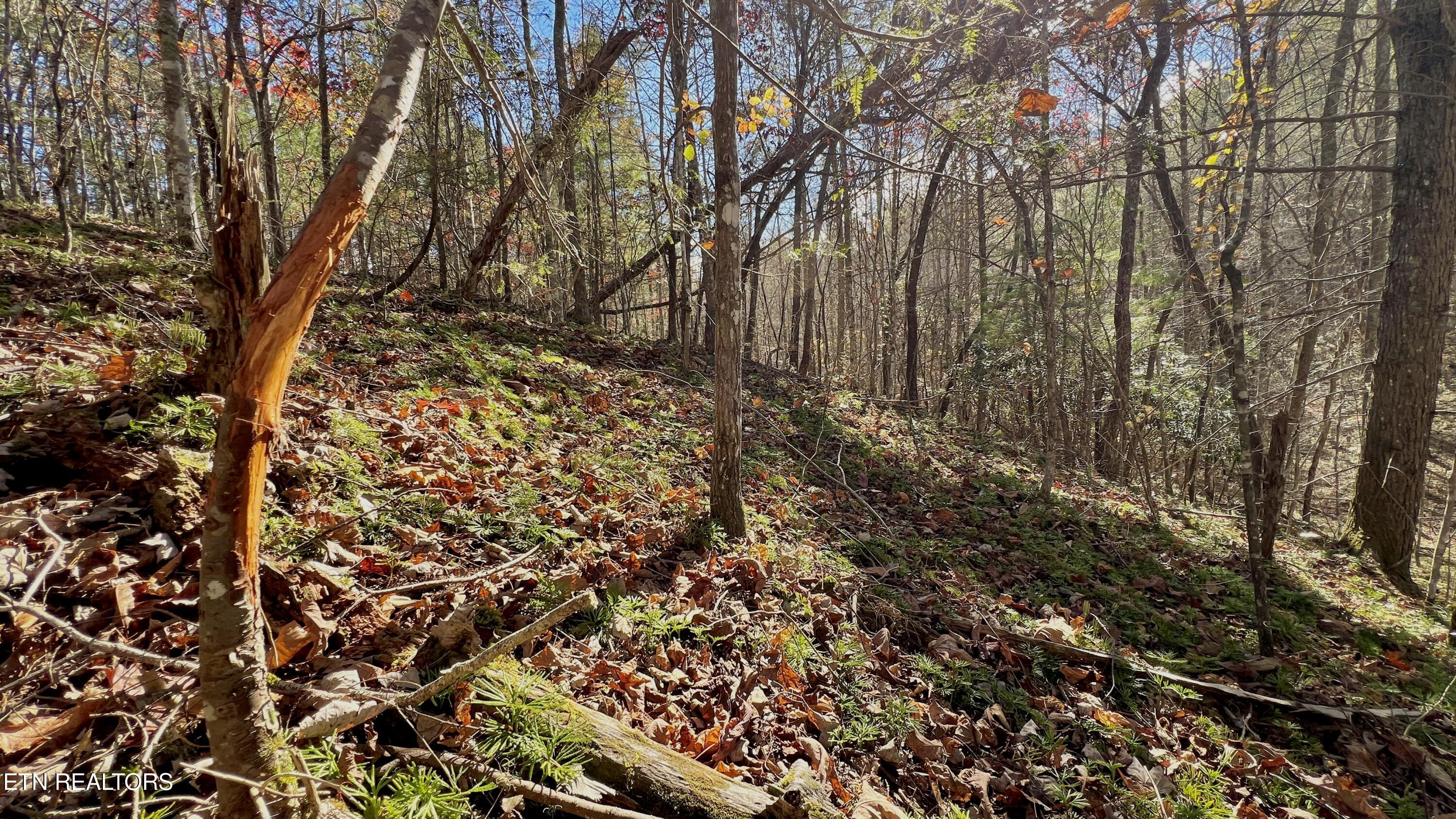 8 Lots Grassy Branch Loop Sevierville TN 37876