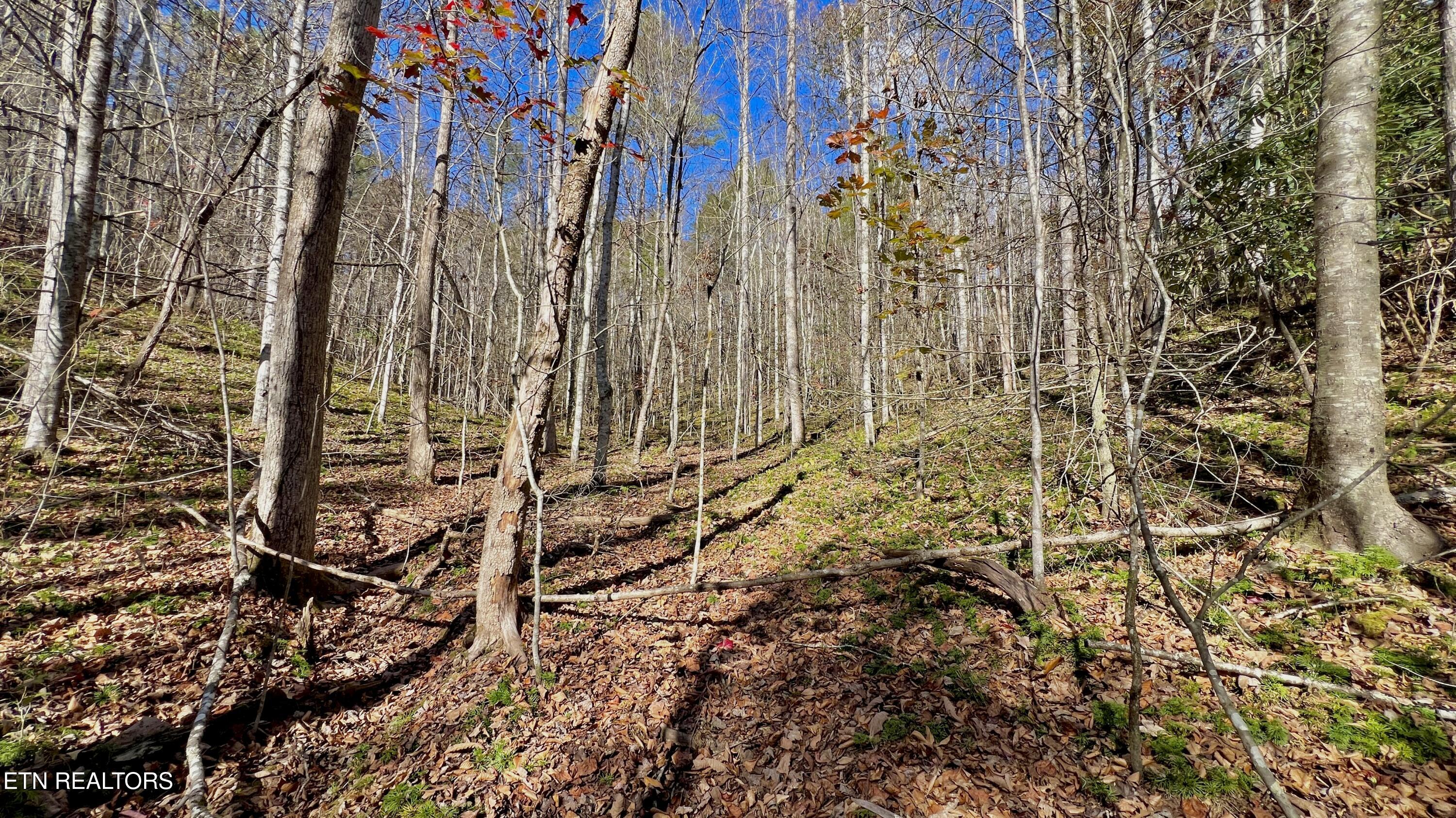 8 Lots Grassy Branch Loop Sevierville TN 37876