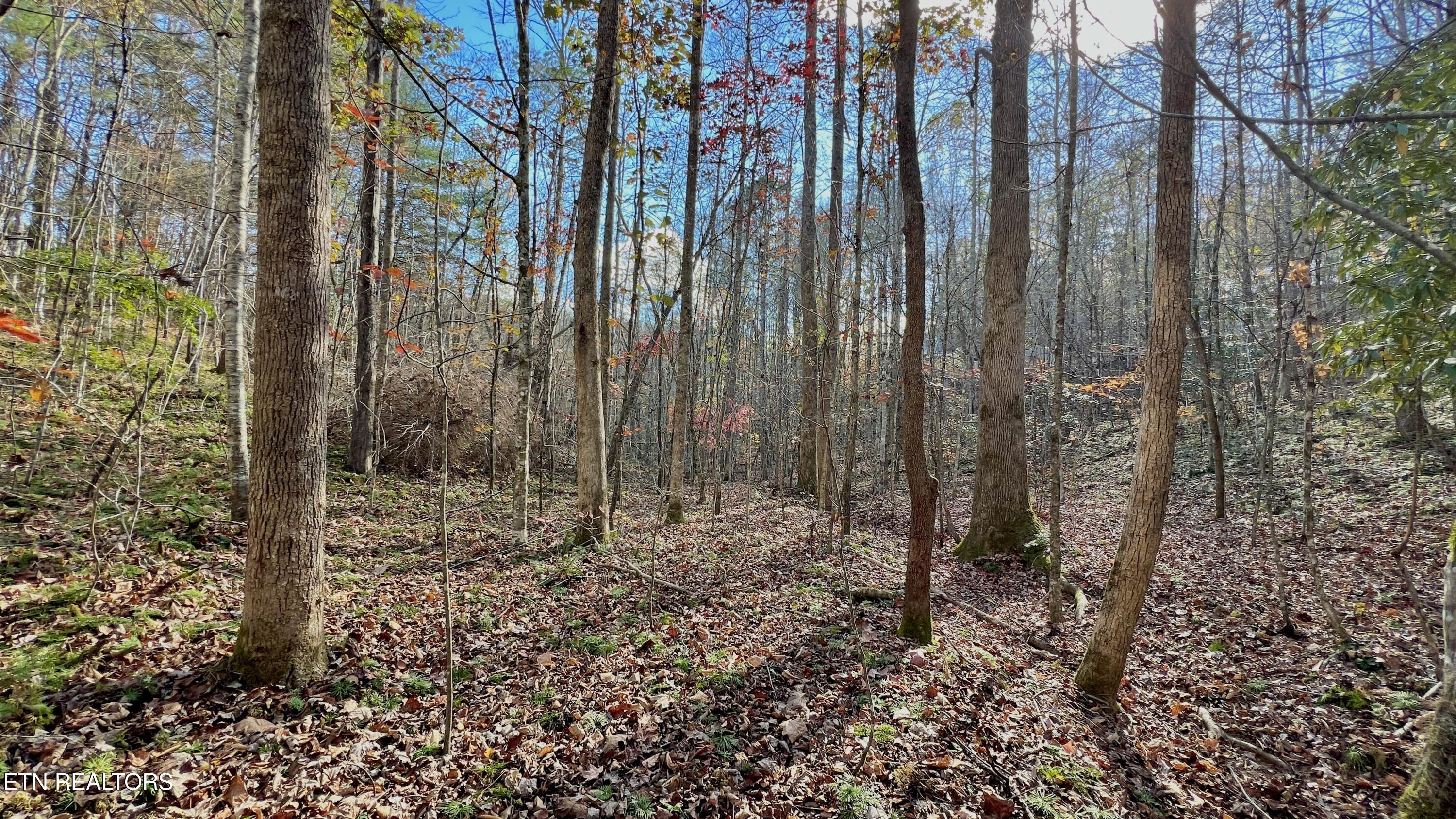 8 Lots Grassy Branch Loop Sevierville TN 37876