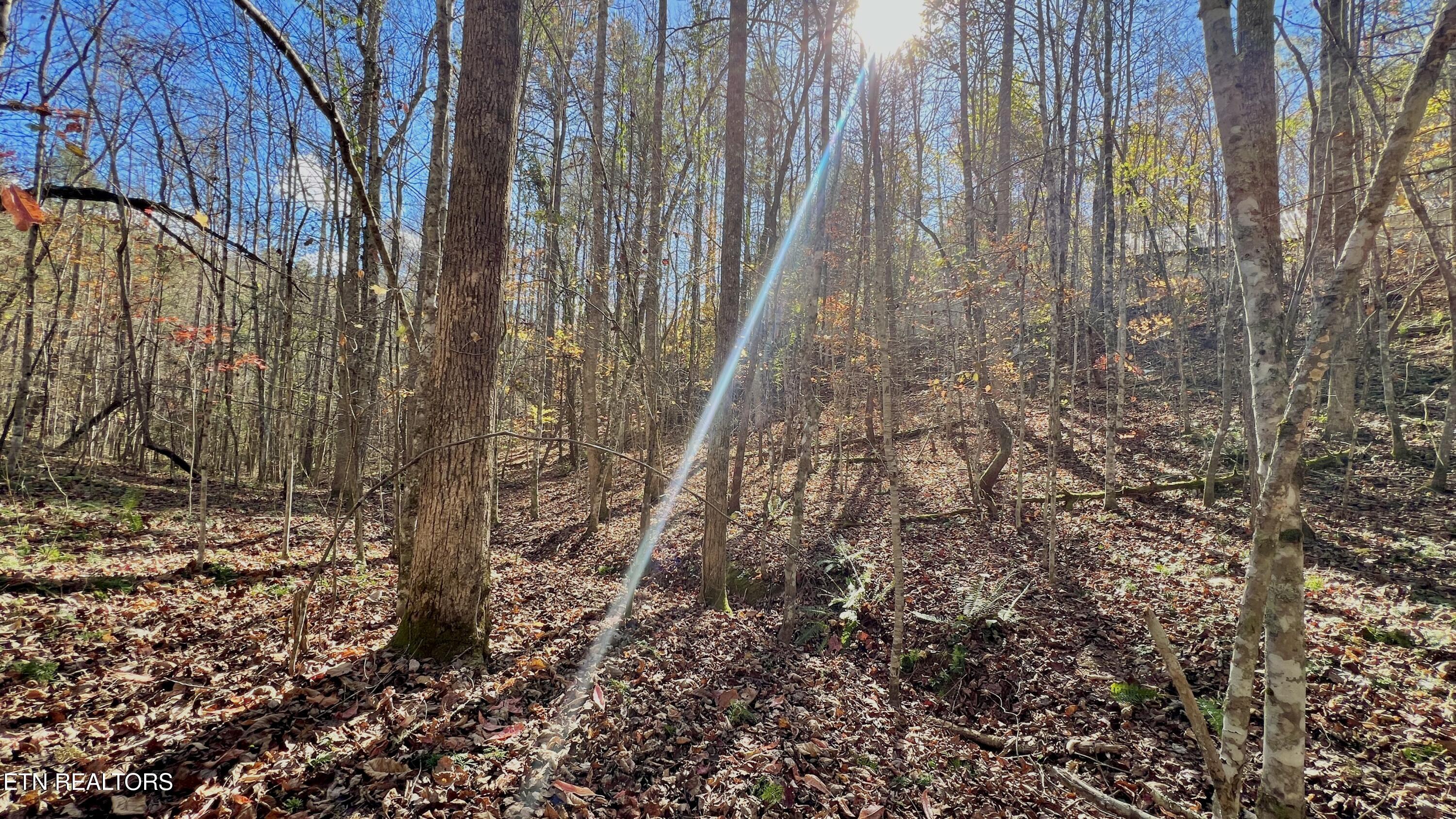 8 Lots Grassy Branch Loop Sevierville TN 37876