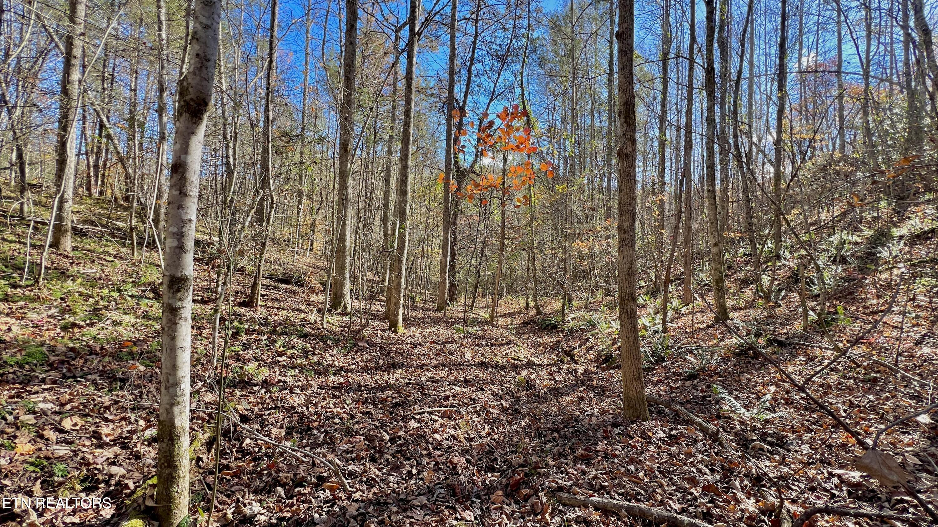 8 Lots Grassy Branch Loop Sevierville TN 37876