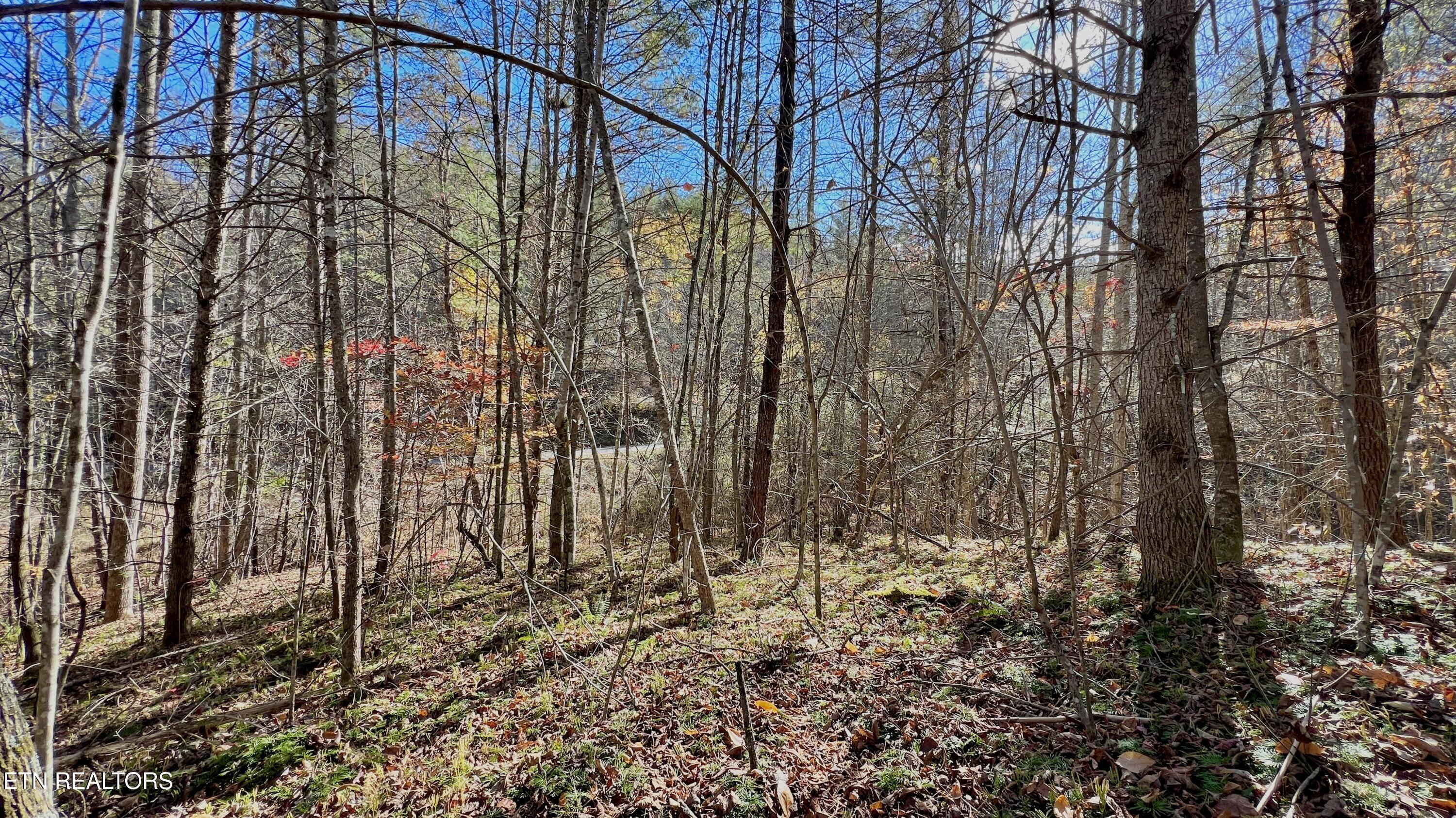8 Lots Grassy Branch Loop Sevierville TN 37876