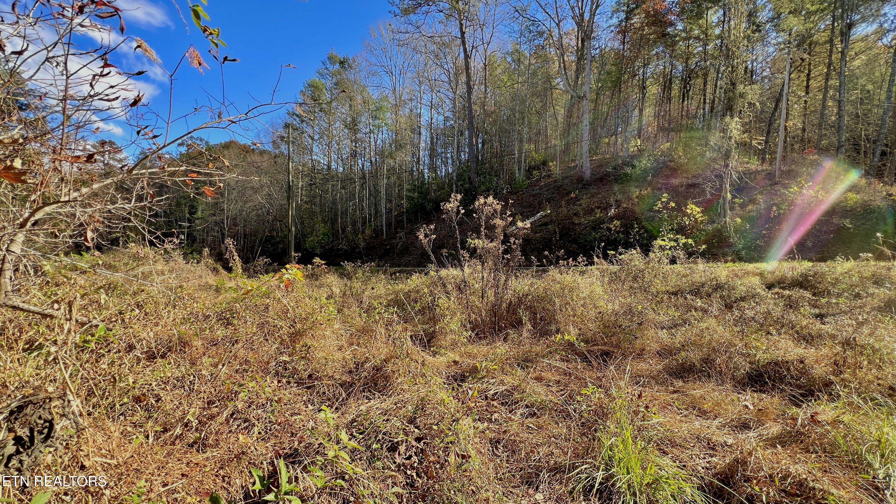 8 Lots Grassy Branch Loop Sevierville TN 37876