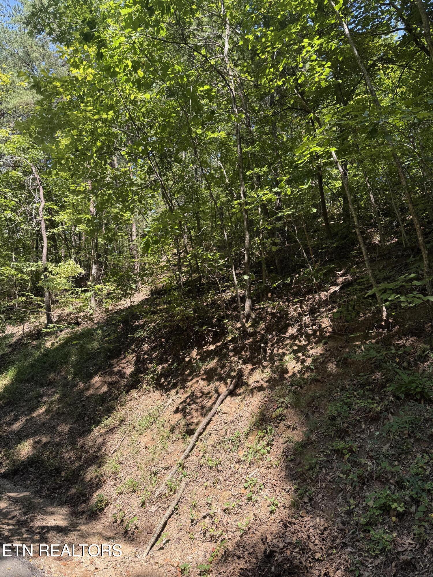 Progress Hill Pigeon Forge TN 37863