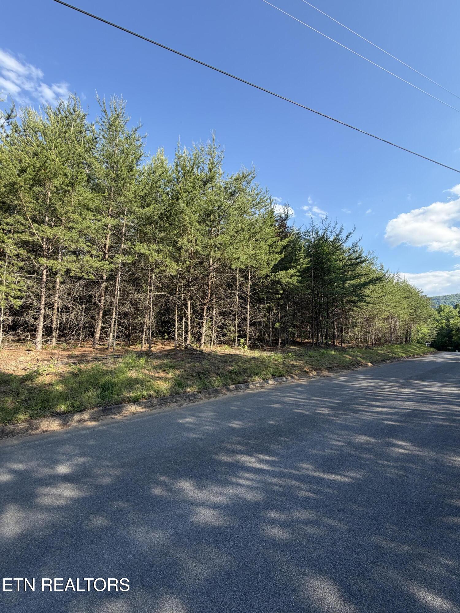 Lot #36 Burning Oaks Drive Sevierville TN 37876