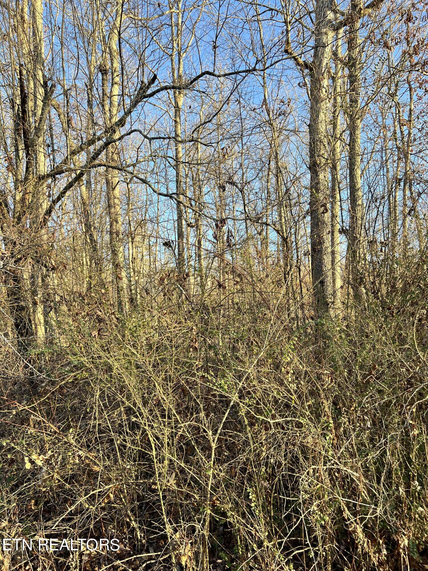 154 Lakeshire Drive Crossville TN 38558