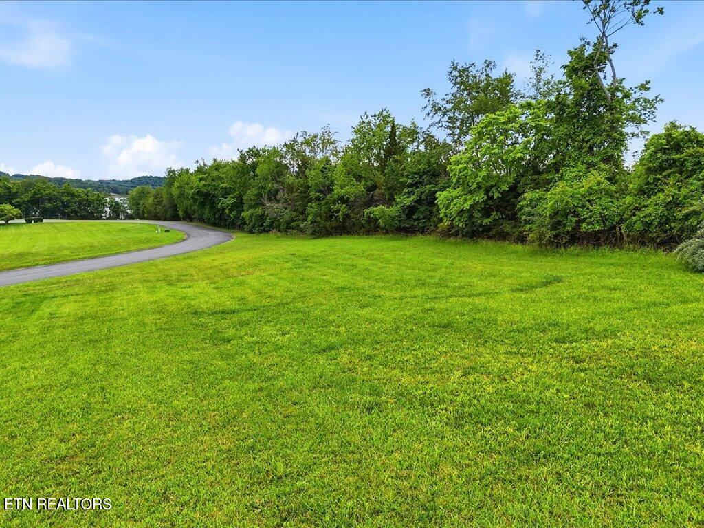 2014 Lake Vista Court Mooresburg TN 37811