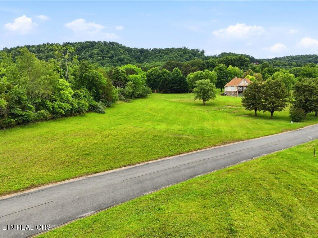 2014 Lake Vista Court Mooresburg TN 37811