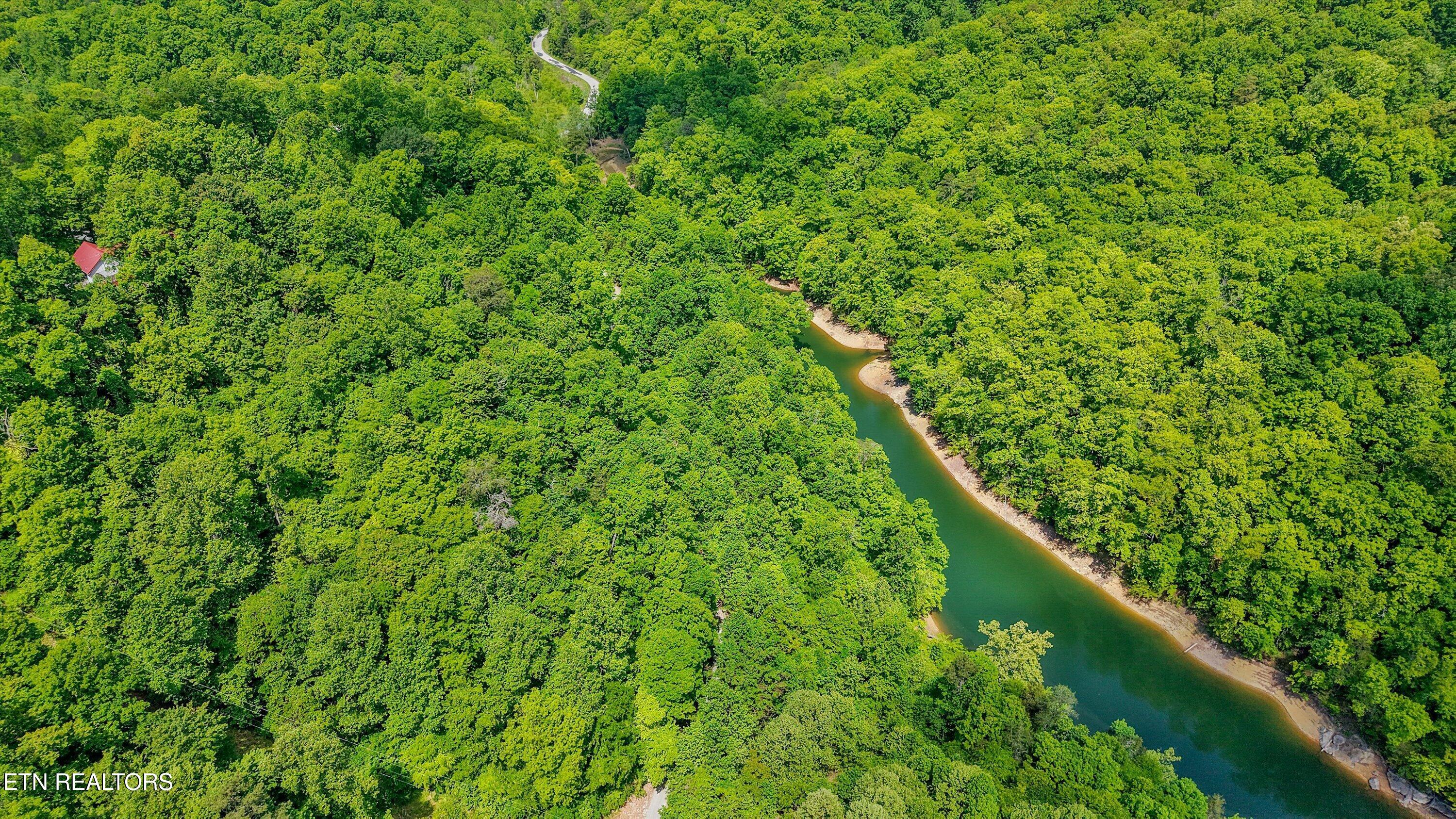 L-12 Mountain Shores Road New Tazewell TN 37825