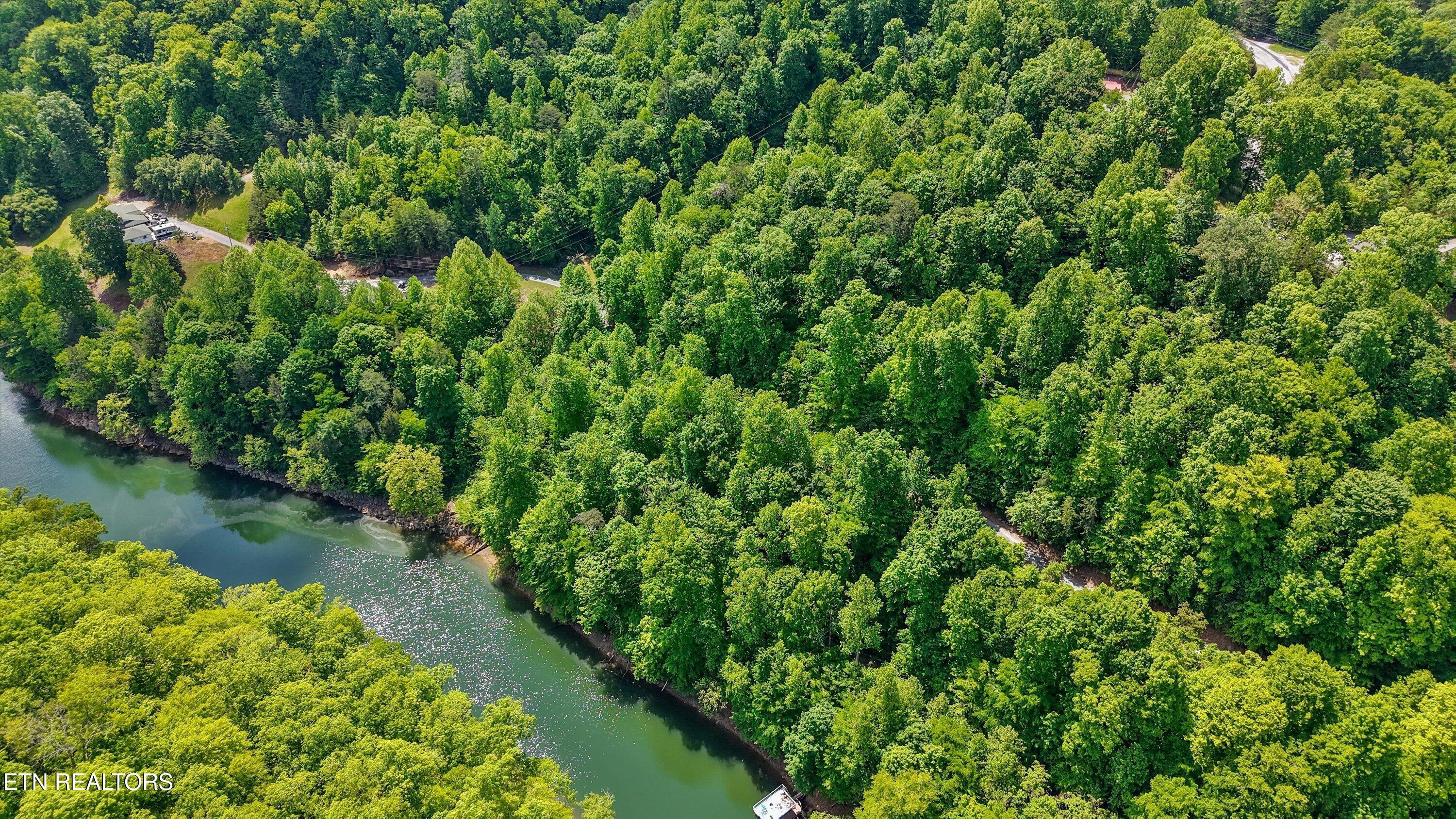 L-12 Mountain Shores Road New Tazewell TN 37825