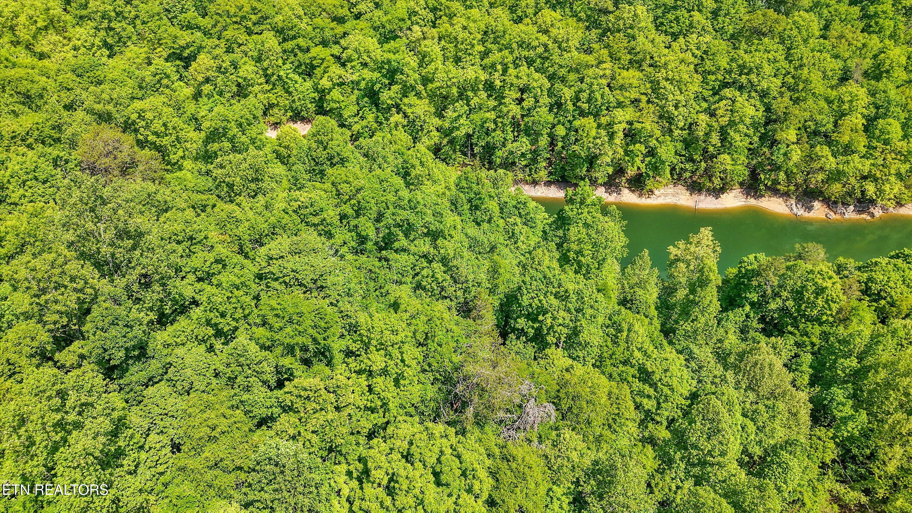 L-12 Mountain Shores Road New Tazewell TN 37825