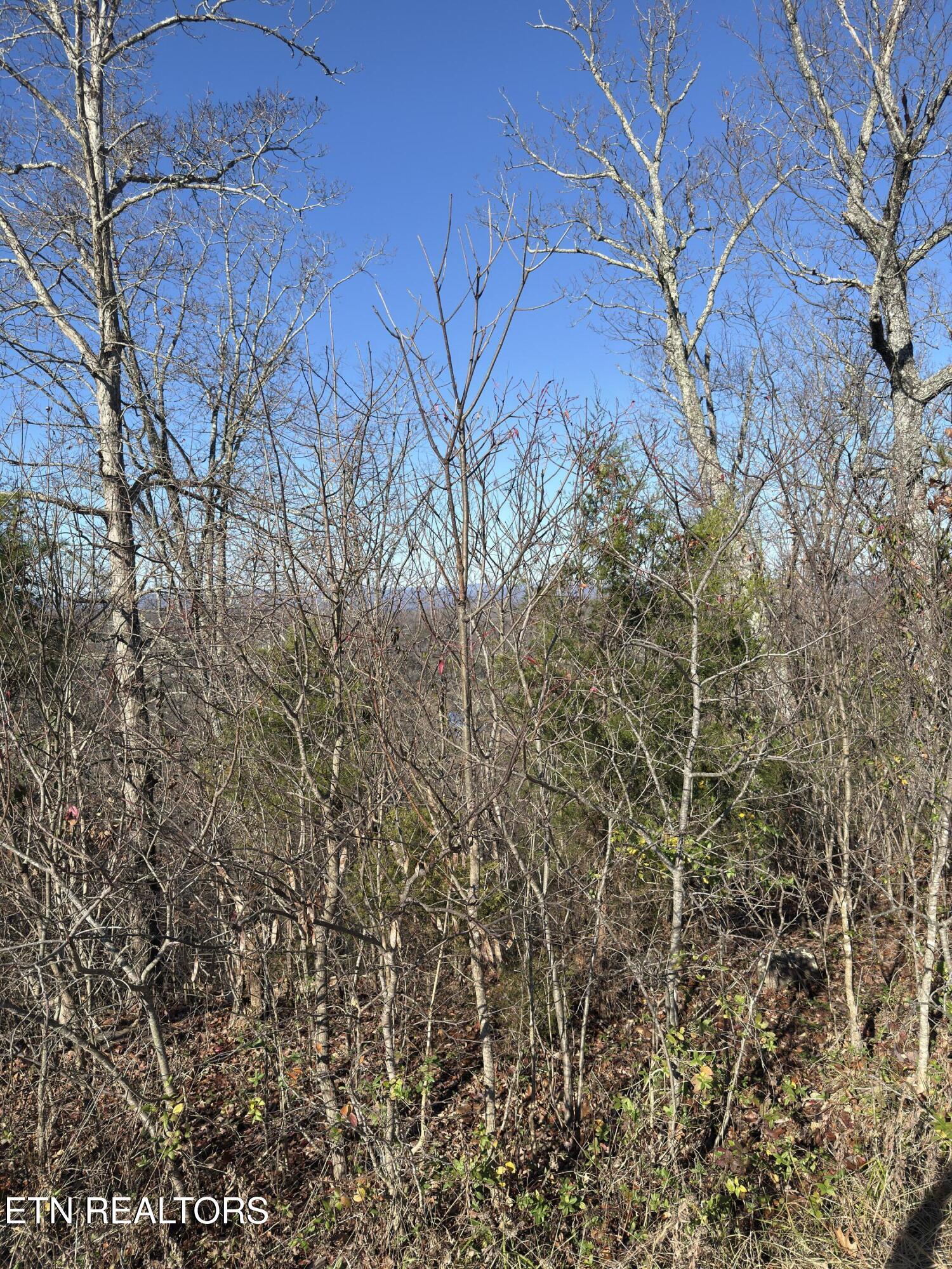 117 Highland Reserve Way Kingston TN 37763