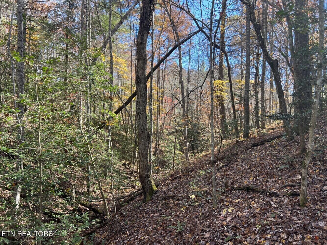 523 Honey Creek Loop Road Allardt TN 38504