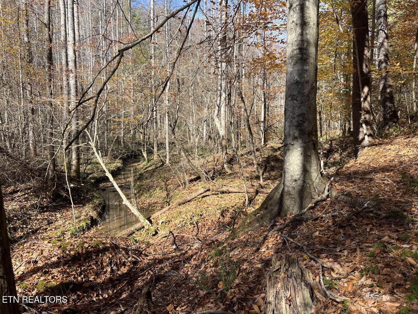 523 Honey Creek Loop Road Allardt TN 38504