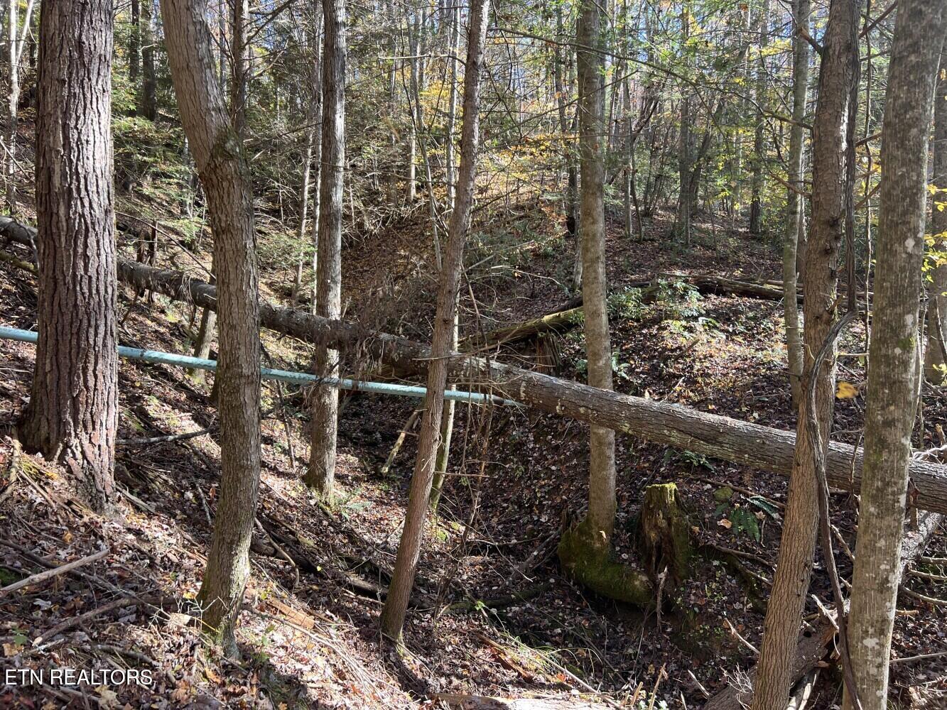 523 Honey Creek Loop Road Allardt TN 38504