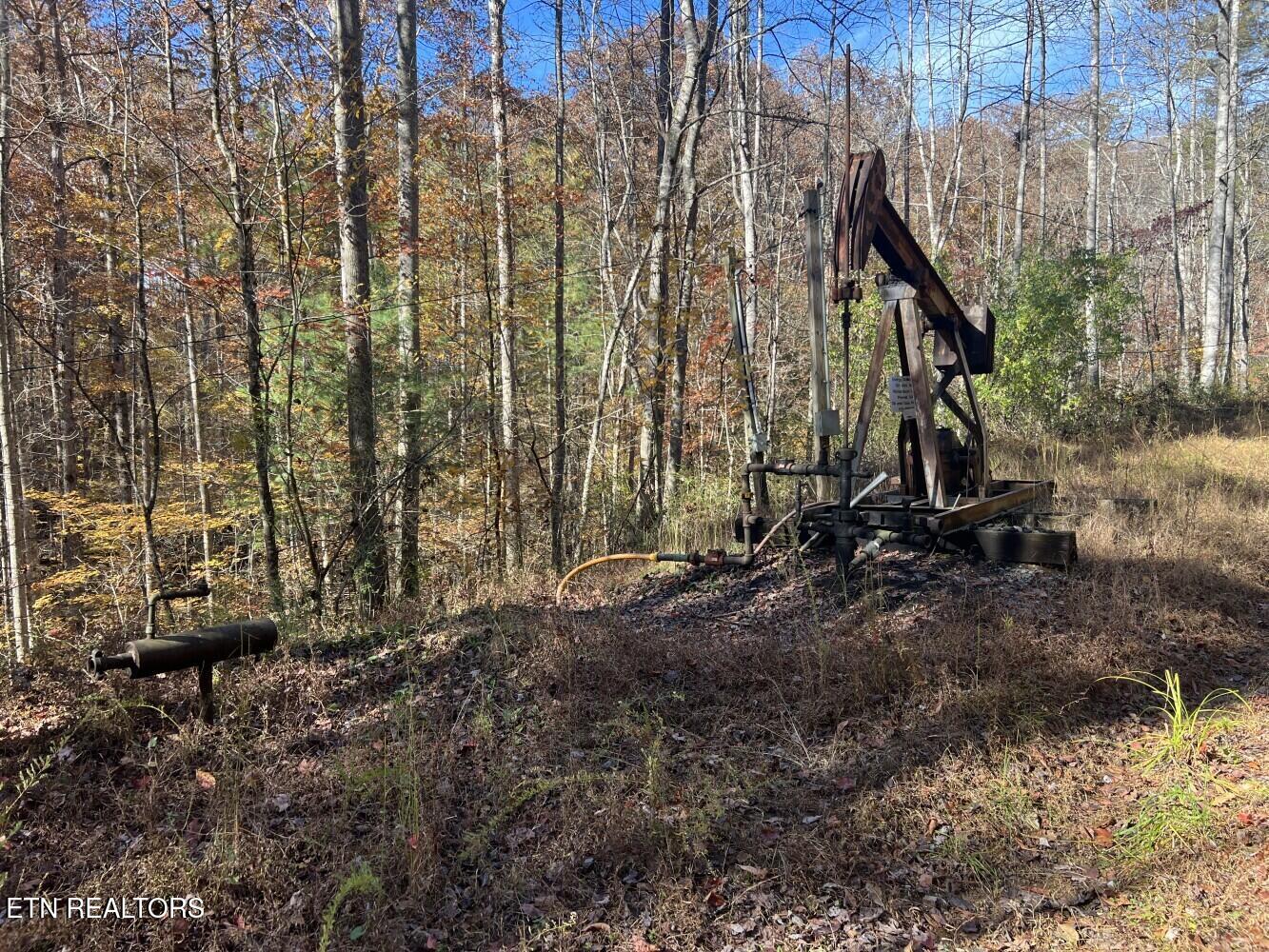 523 Honey Creek Loop Road Allardt TN 38504