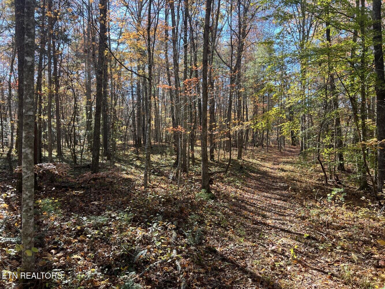 523 Honey Creek Loop Road Allardt TN 38504