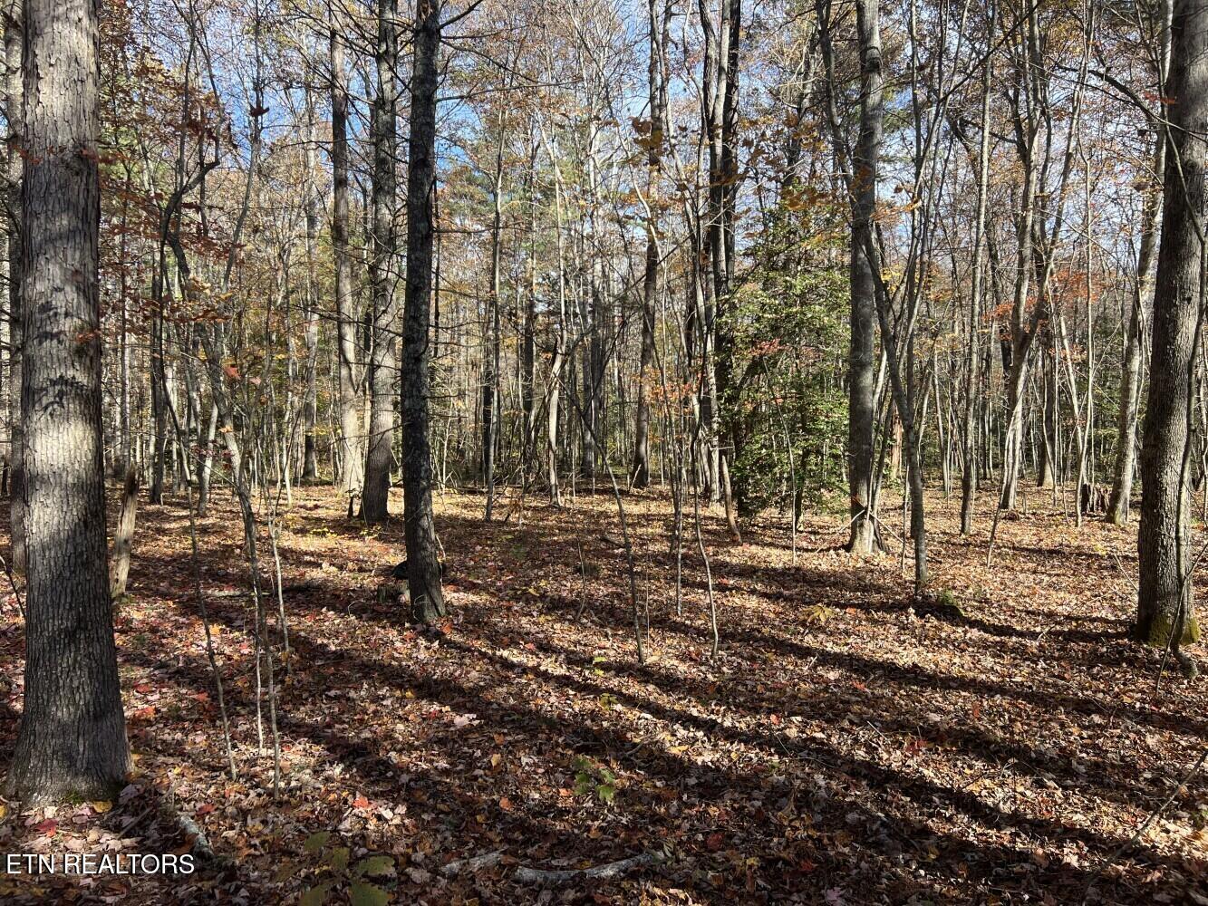 523 Honey Creek Loop Road Allardt TN 38504
