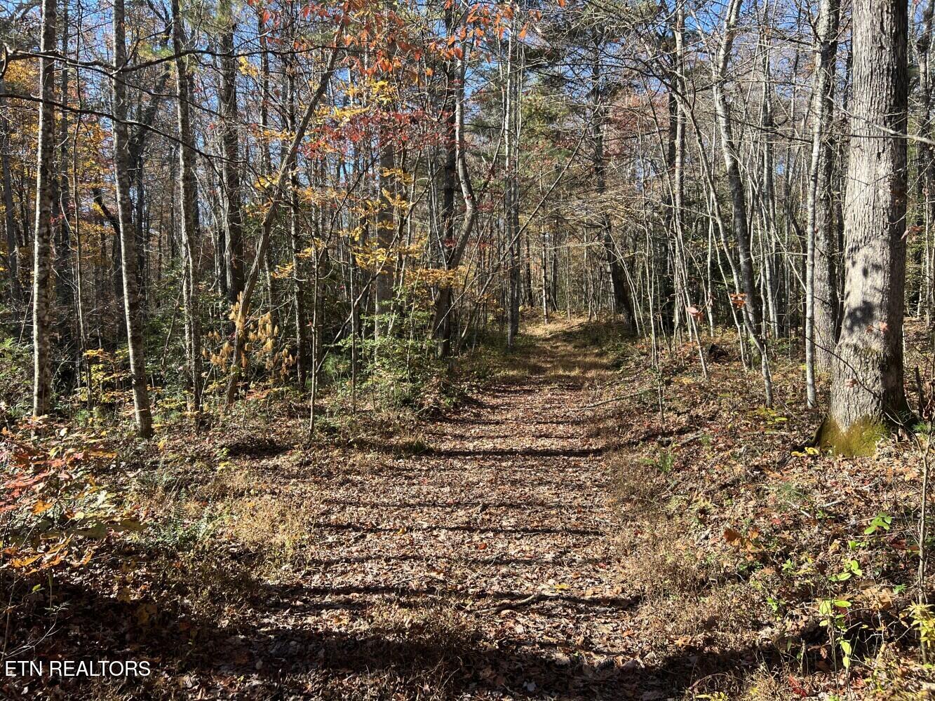 523 Honey Creek Loop Road Allardt TN 38504