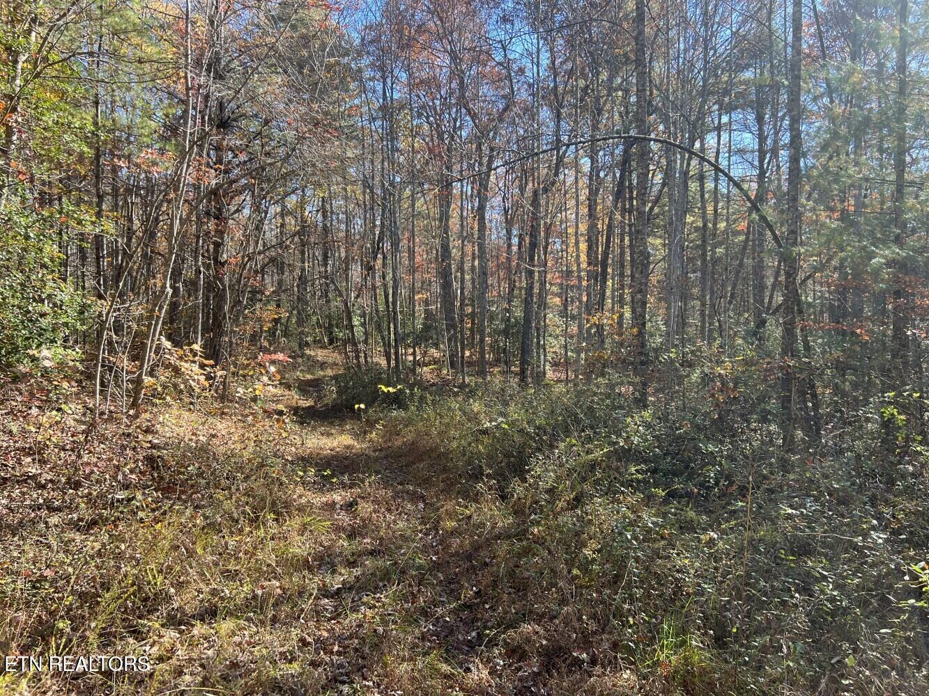 523 Honey Creek Loop Road Allardt TN 38504