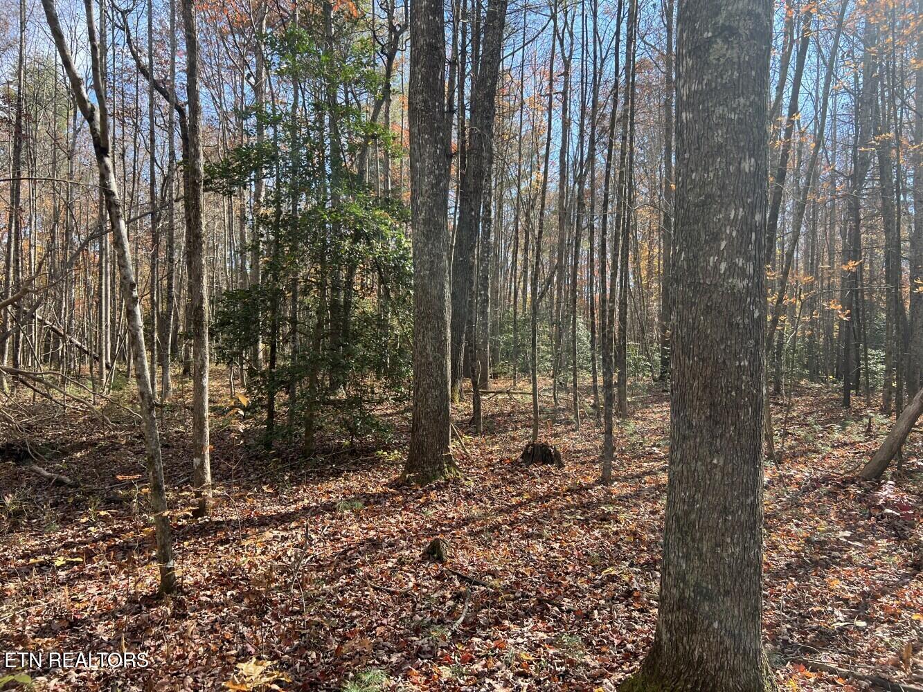 523 Honey Creek Loop Road Allardt TN 38504