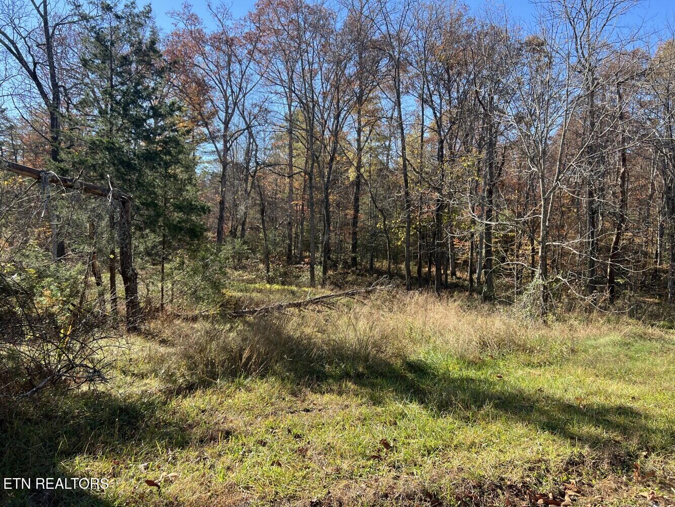 523 Honey Creek Loop Road Allardt TN 38504
